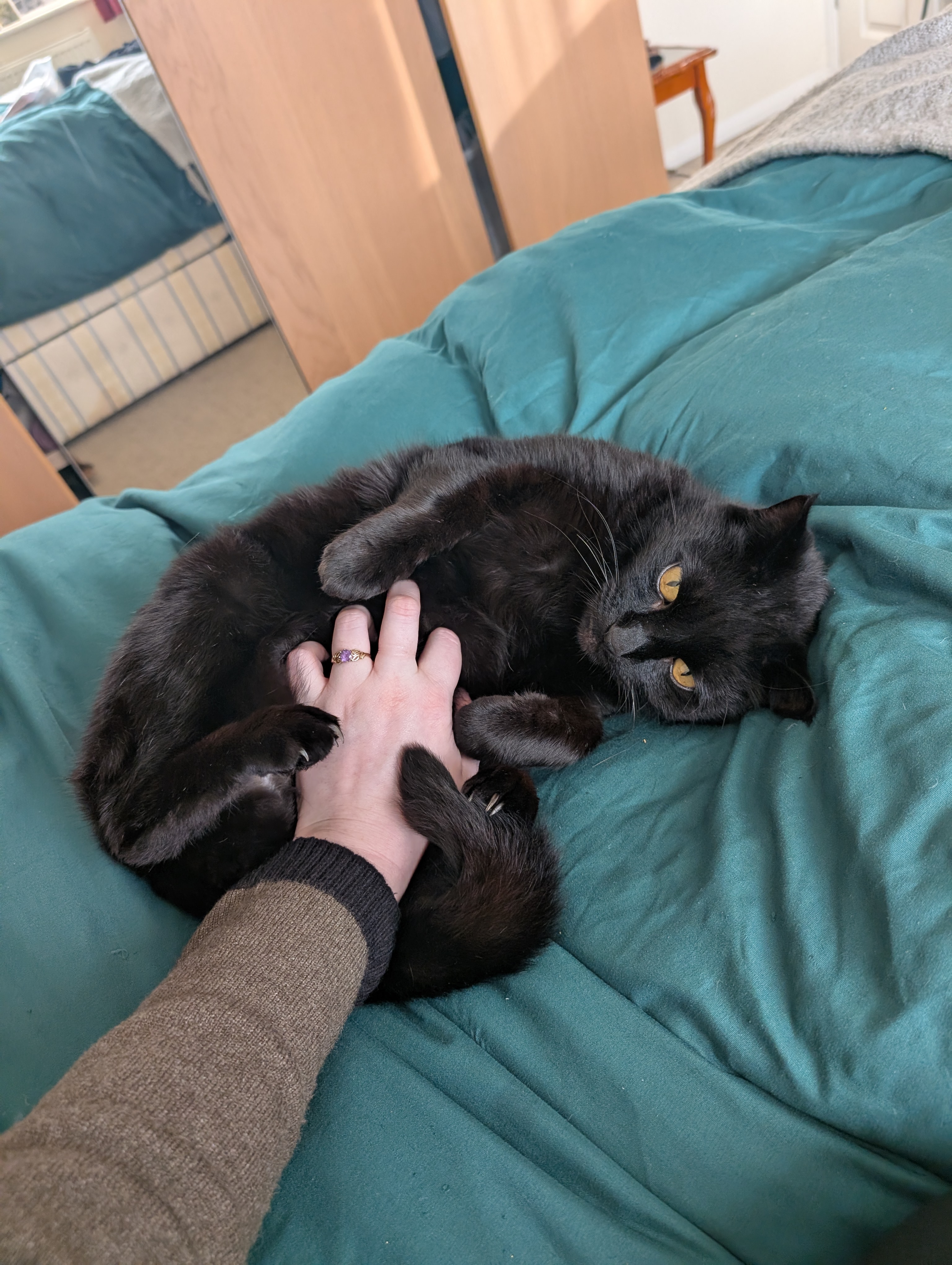 image-6