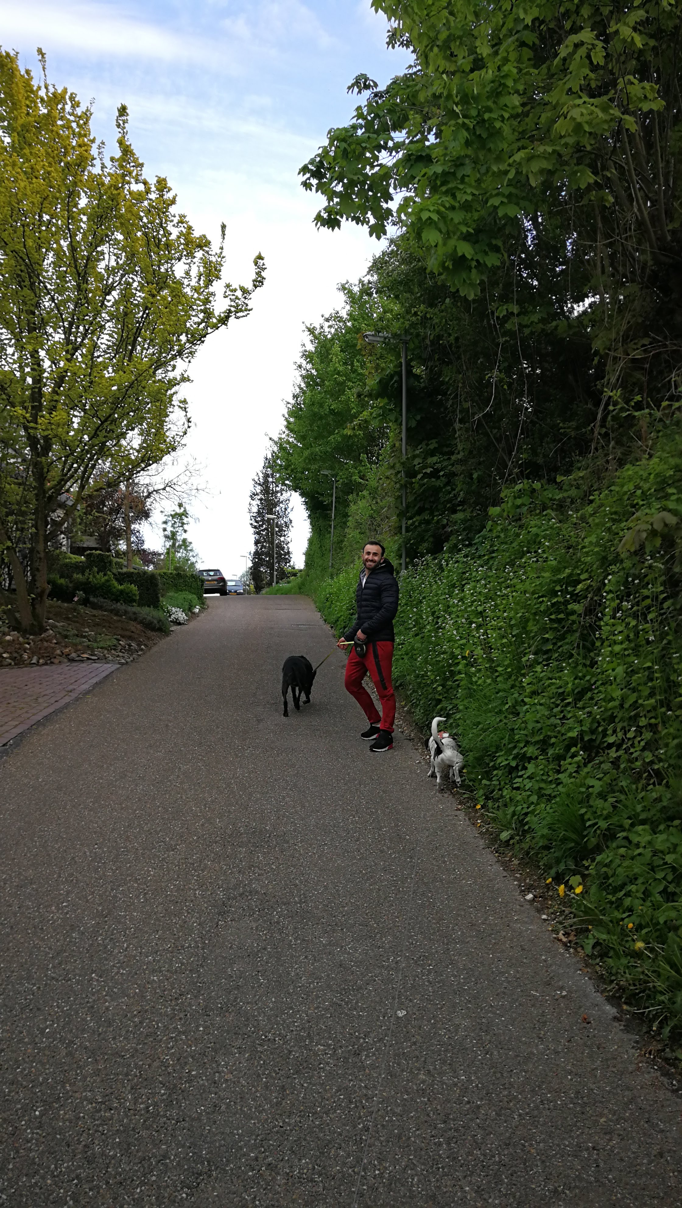 image-6
