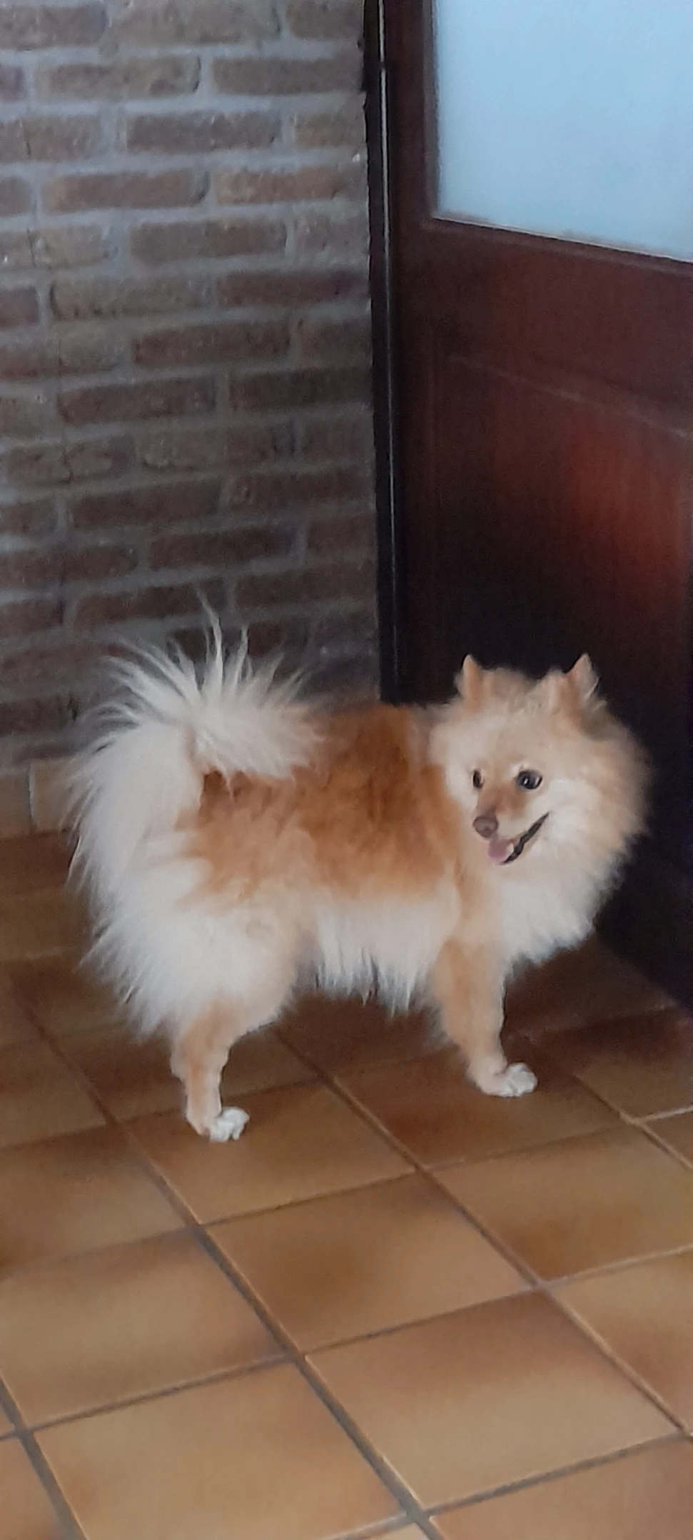 image-11