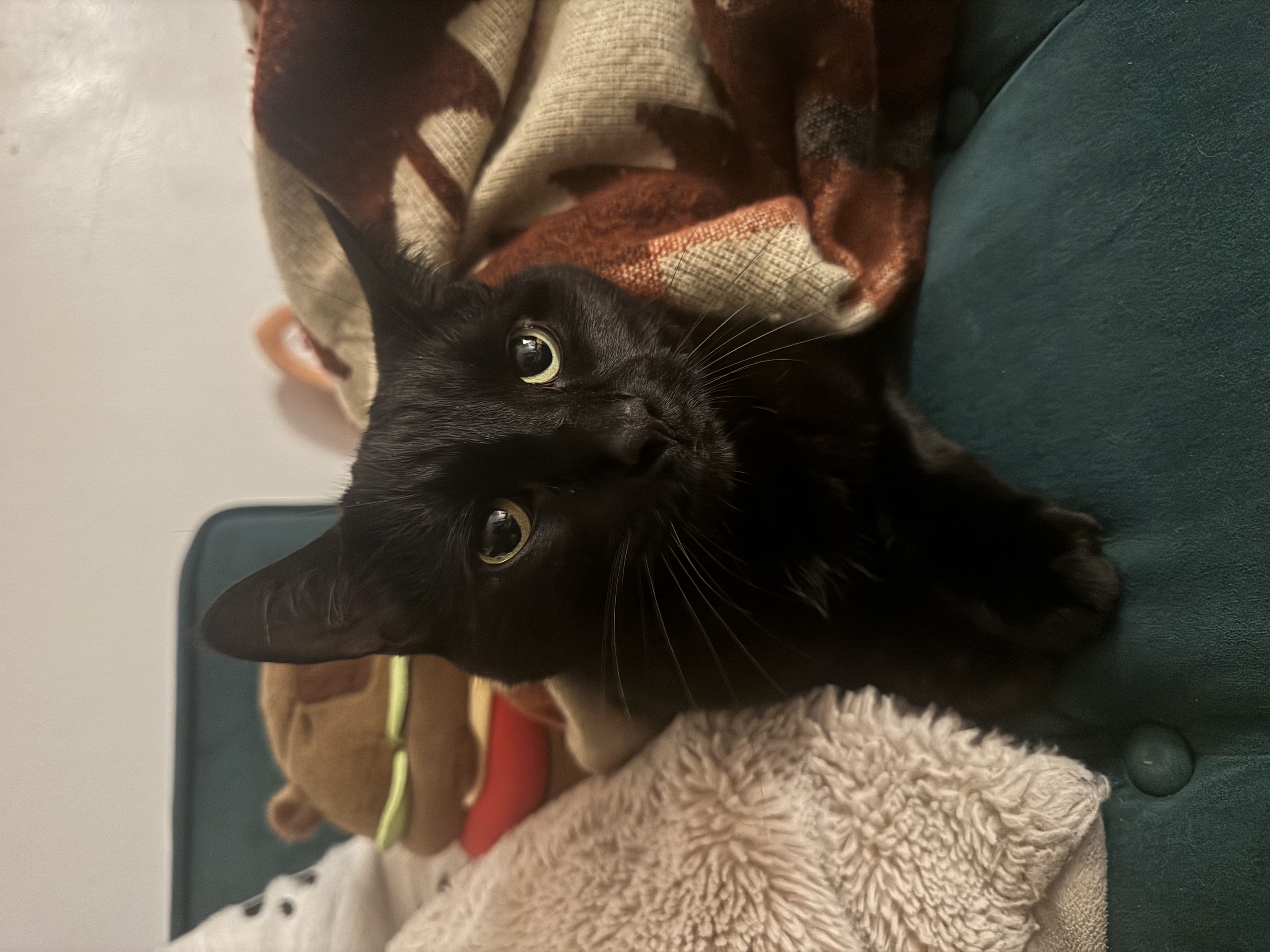 image-6
