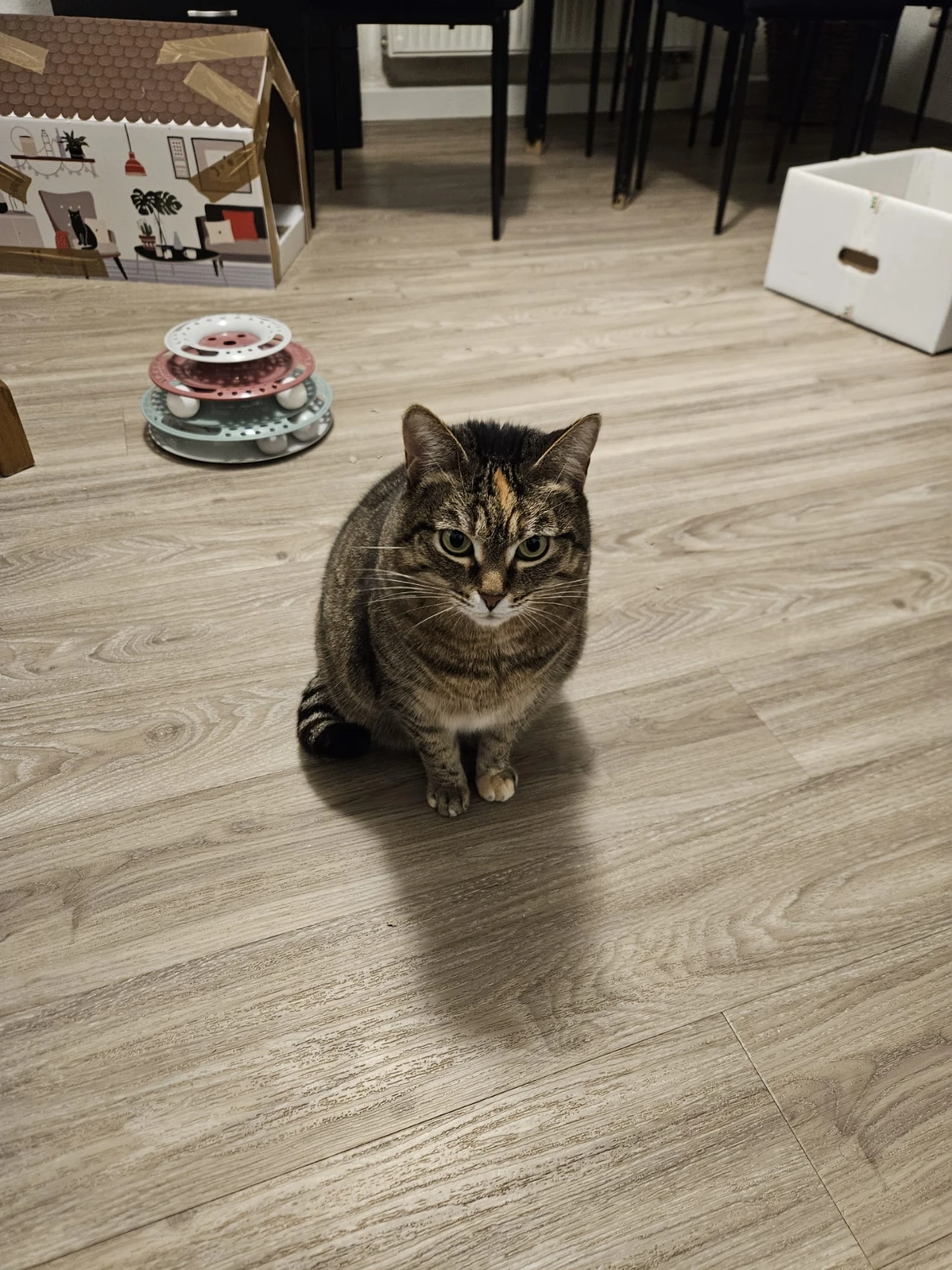 image-14