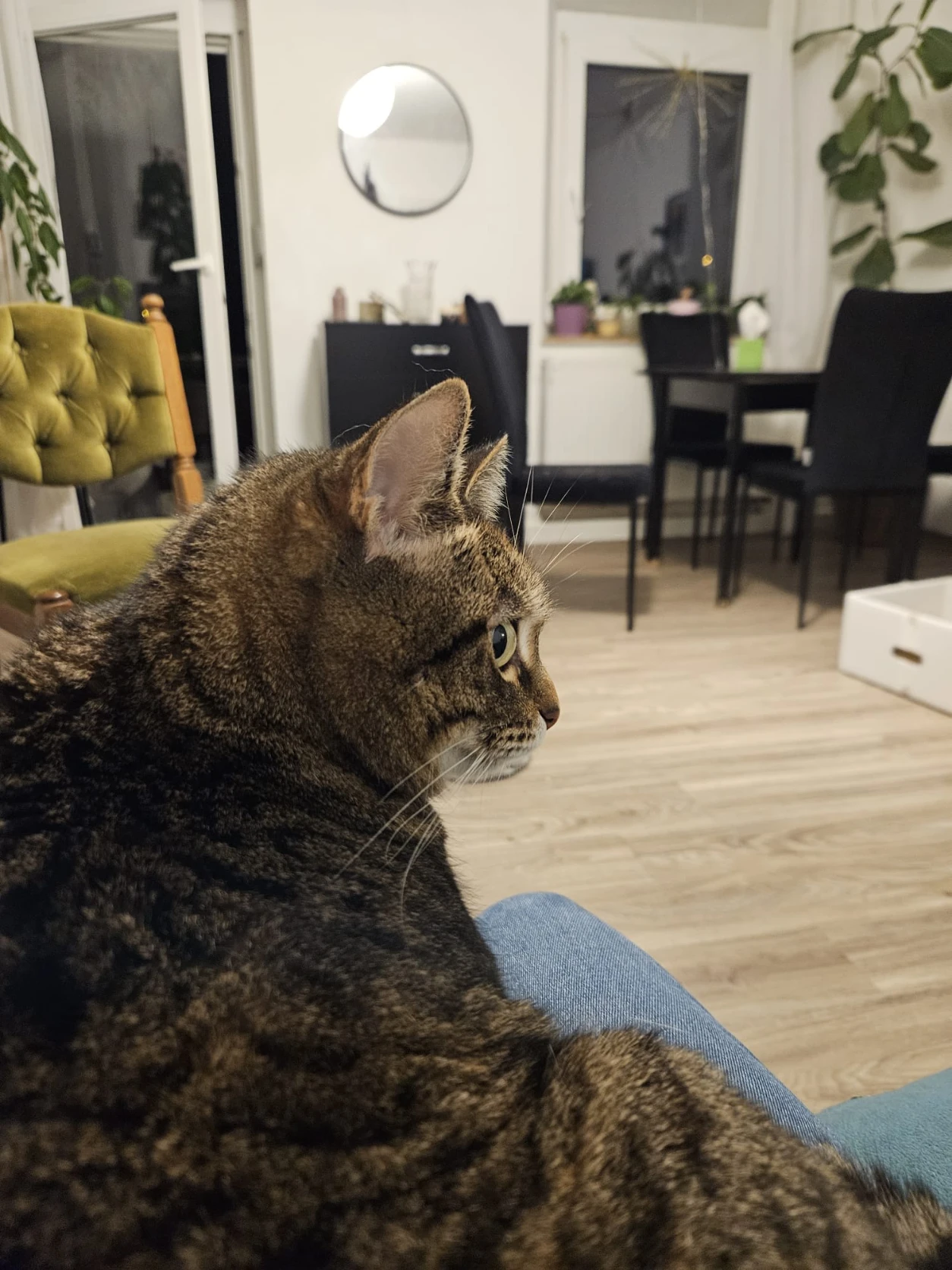 image-11