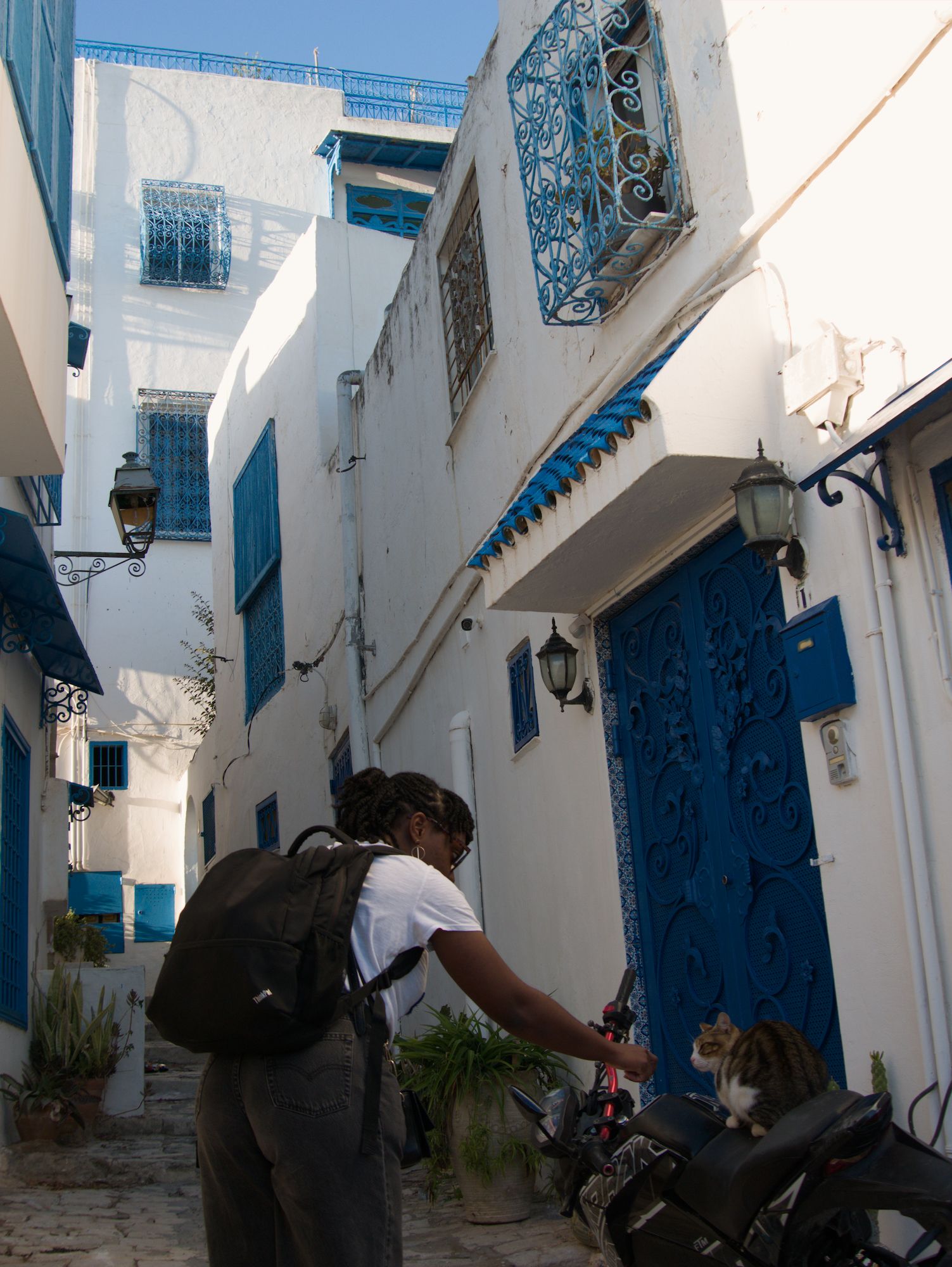 image-5