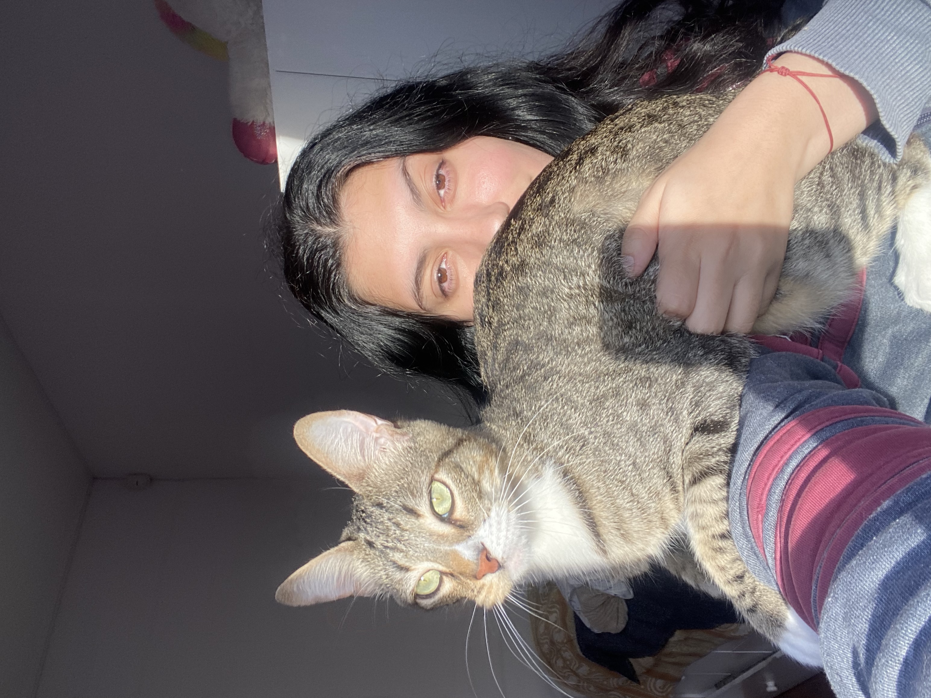 image-6