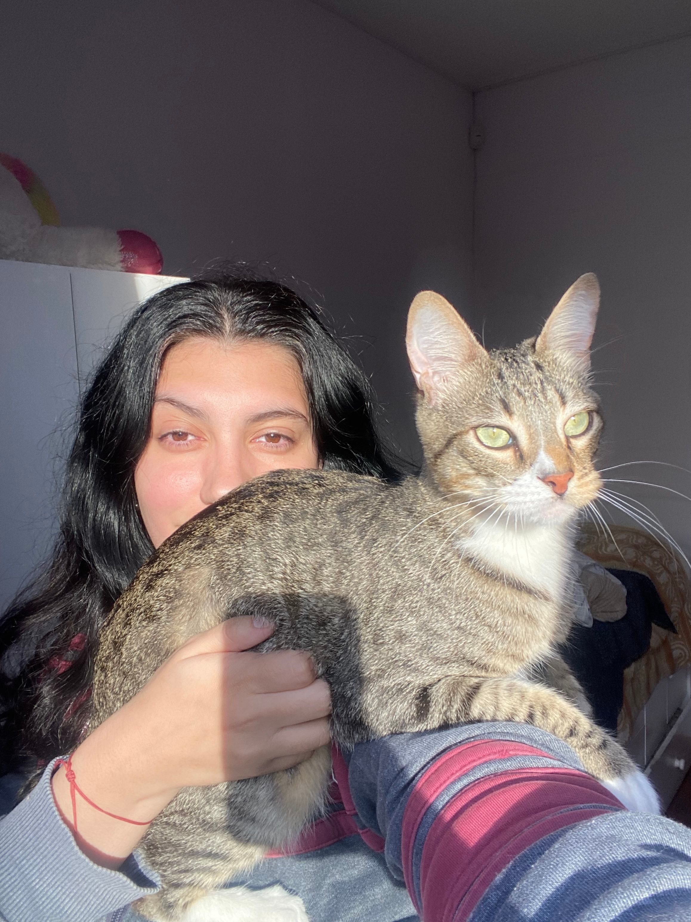 image-6