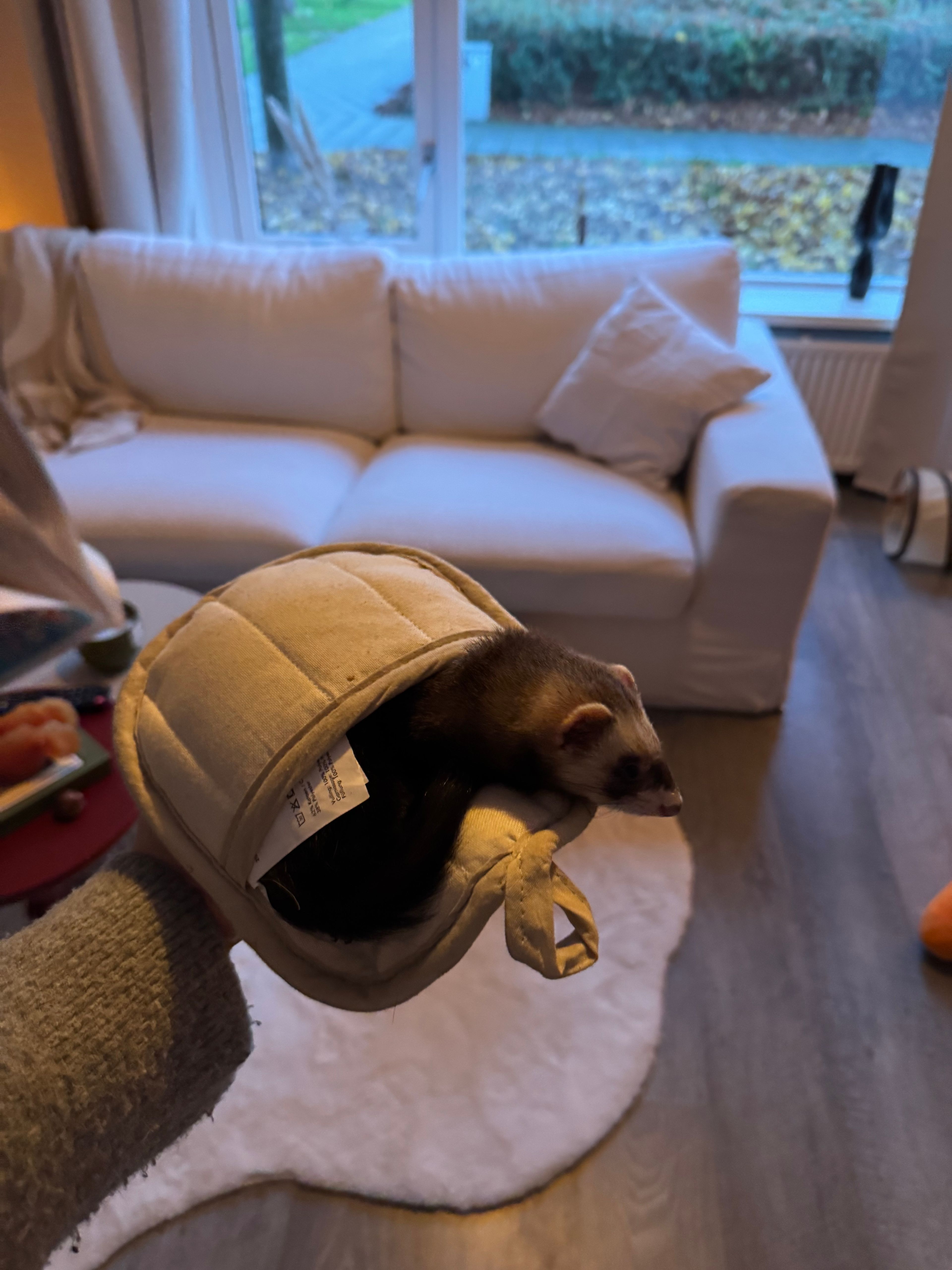 image-12