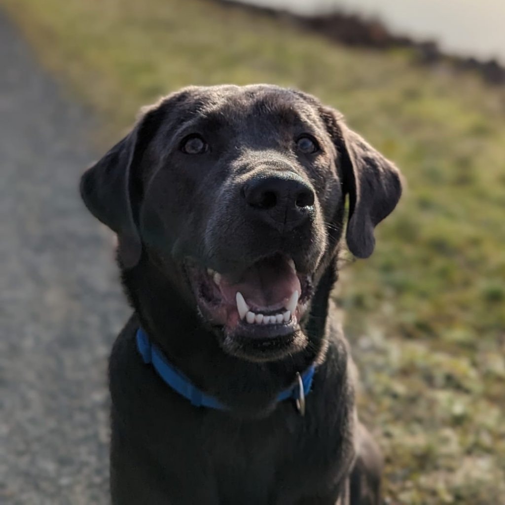 Benjie