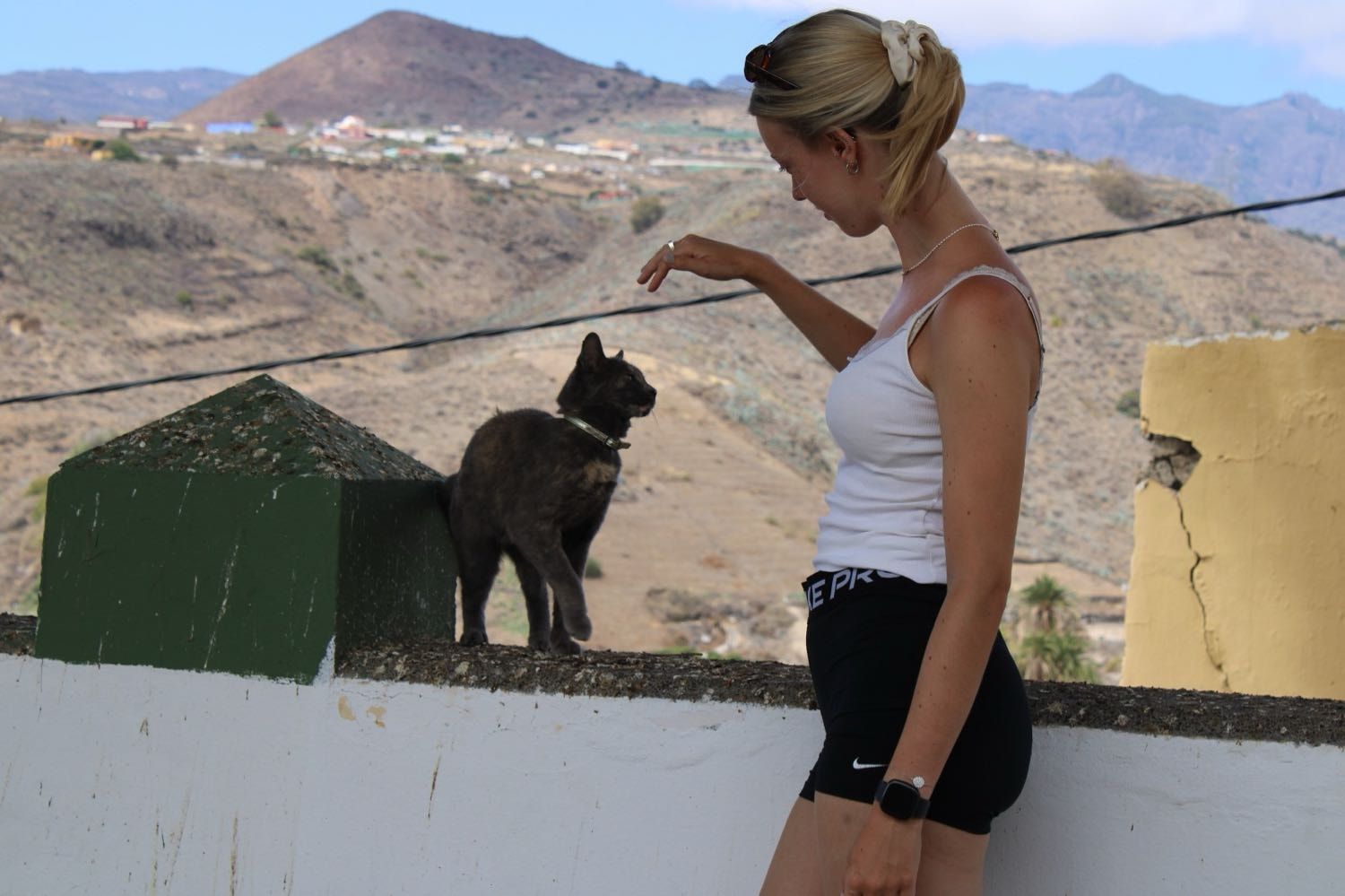 image-17