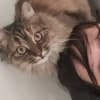 Sofie