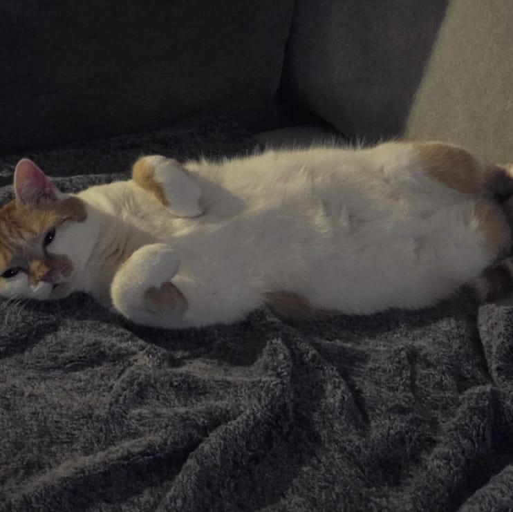 Rosie