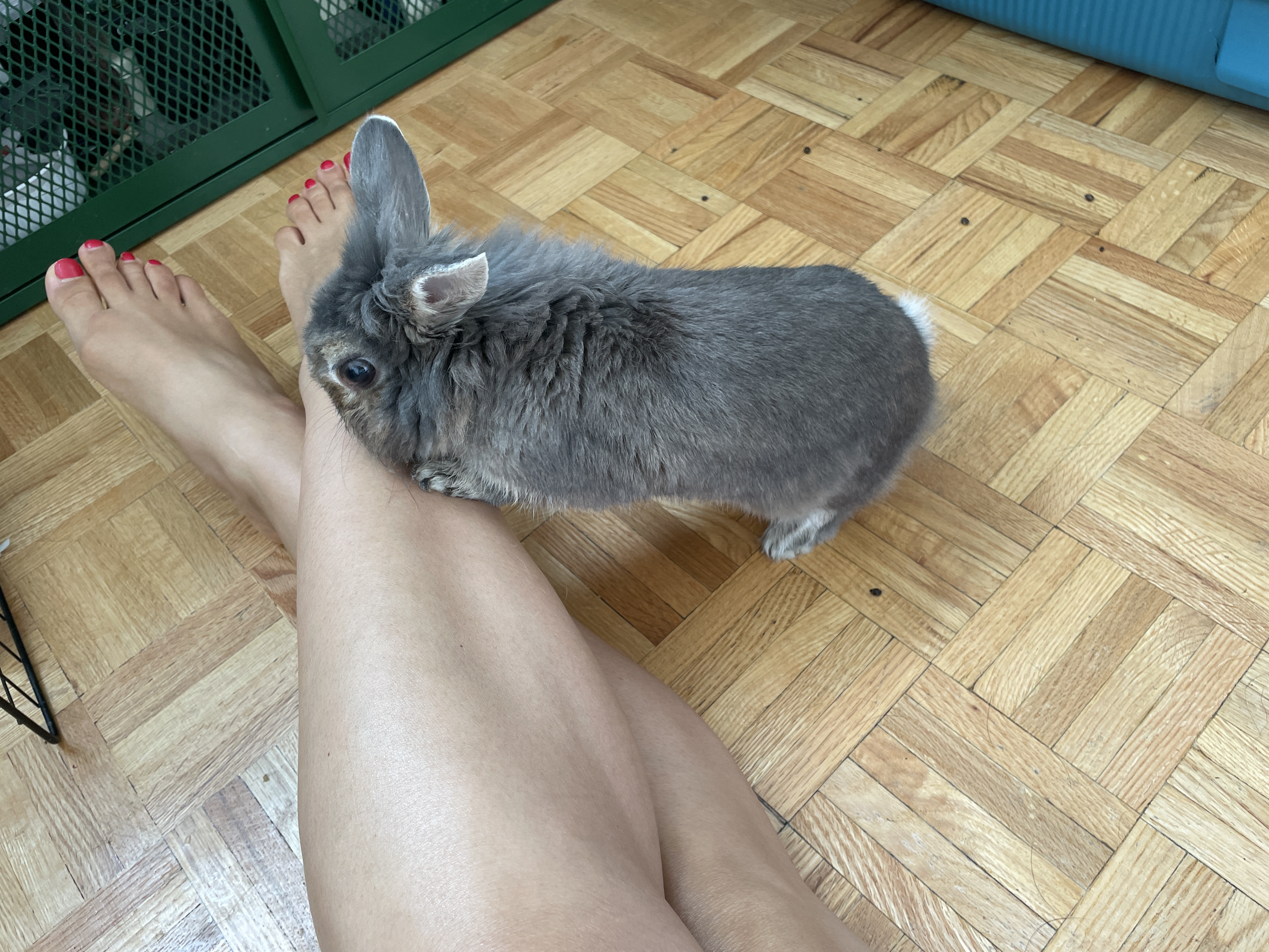 image-5