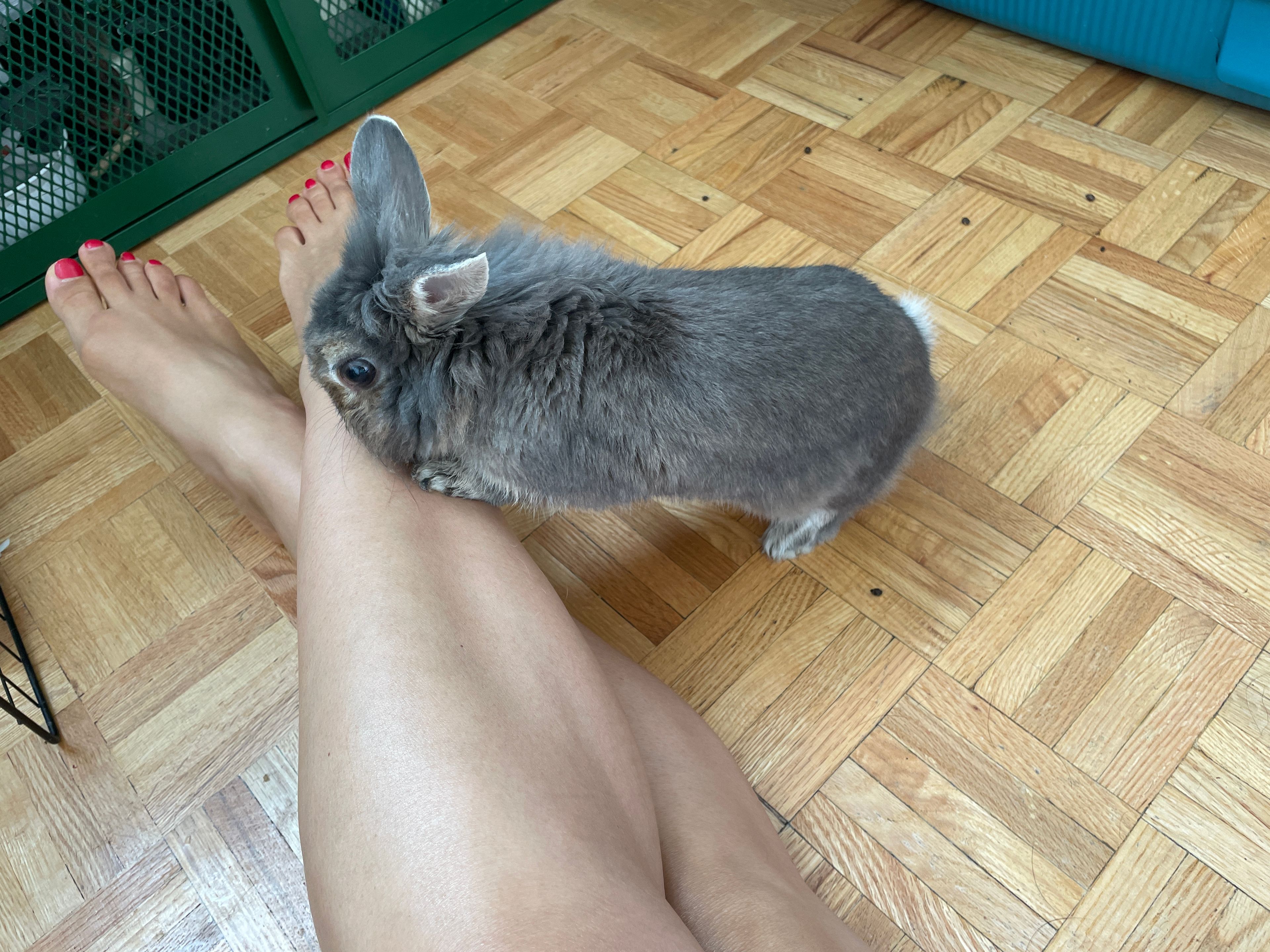 image-5