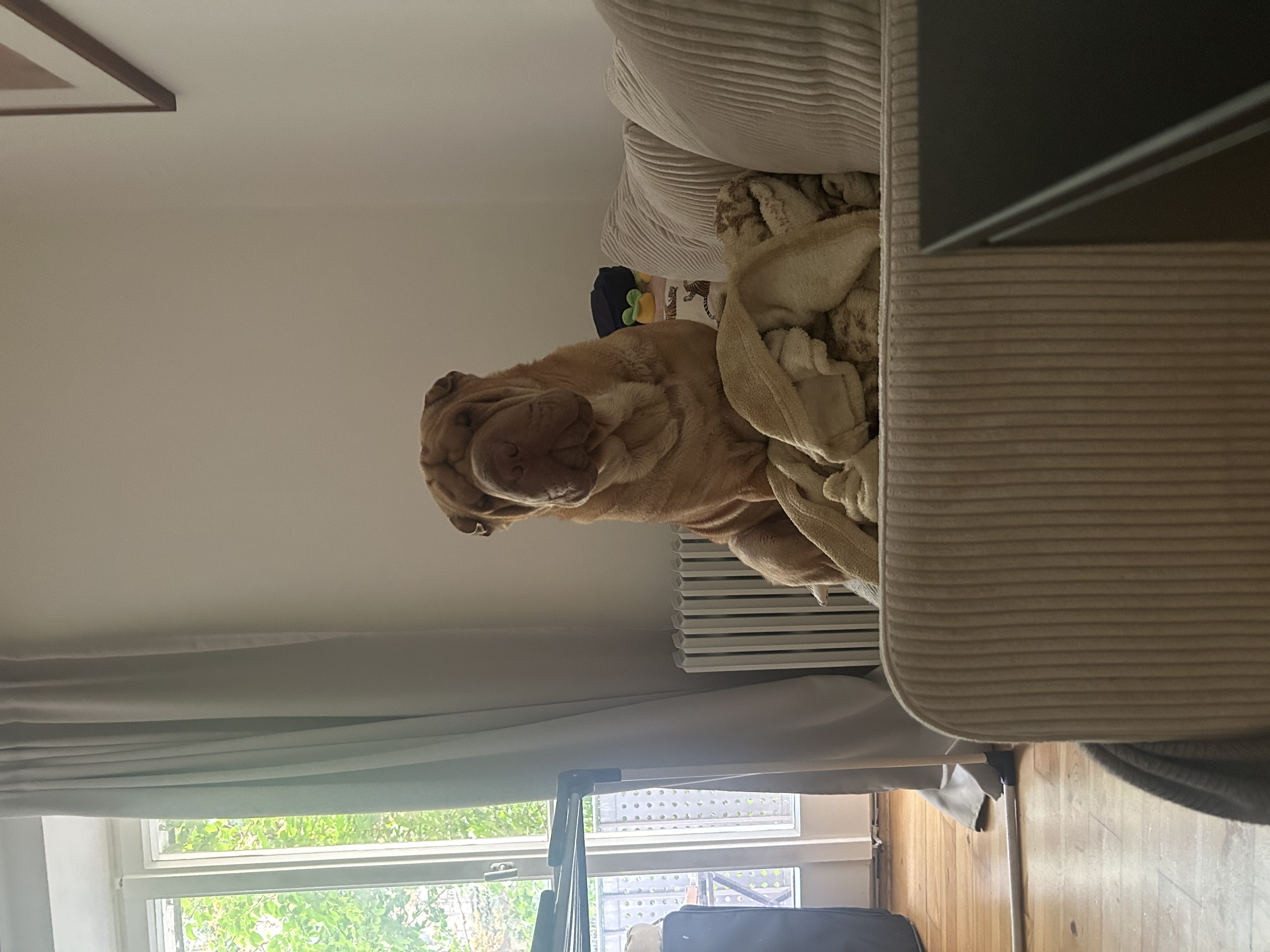 image-13