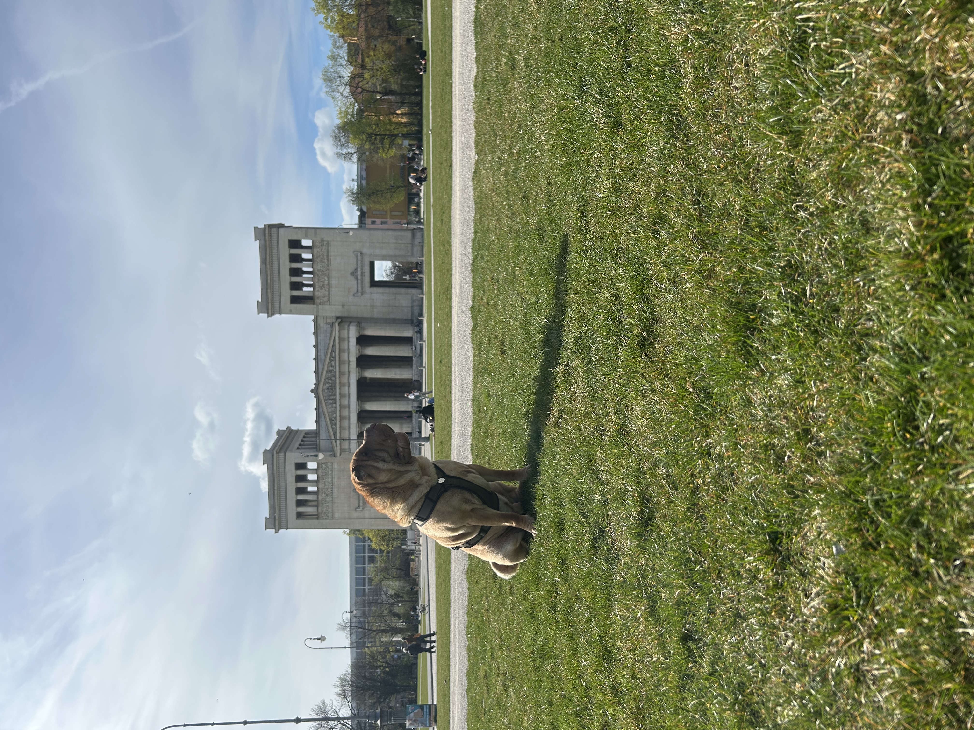 image-12