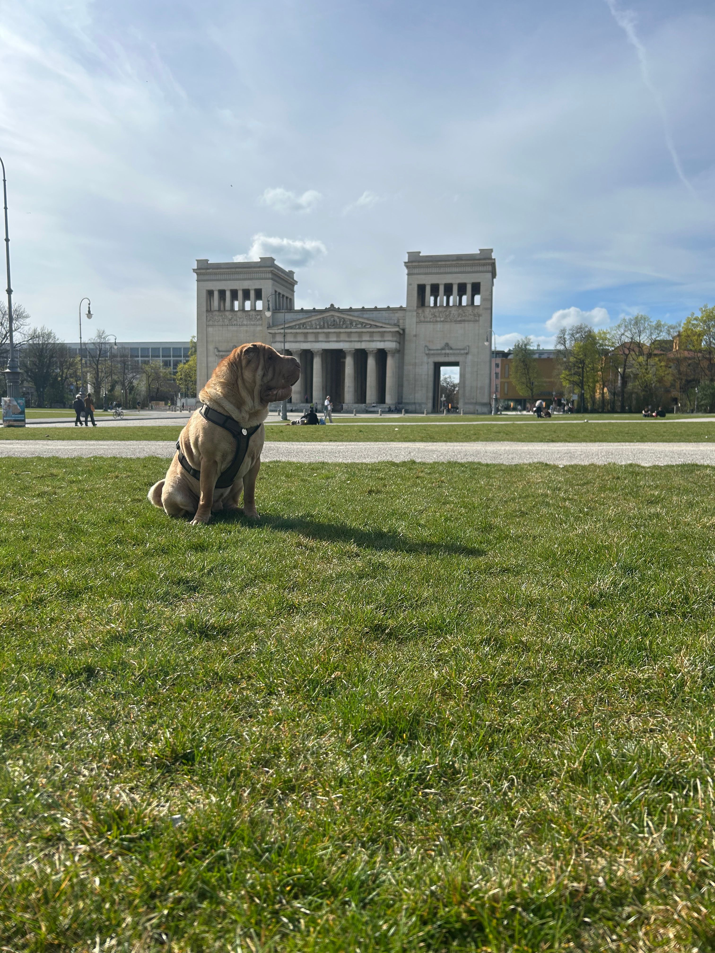 image-12