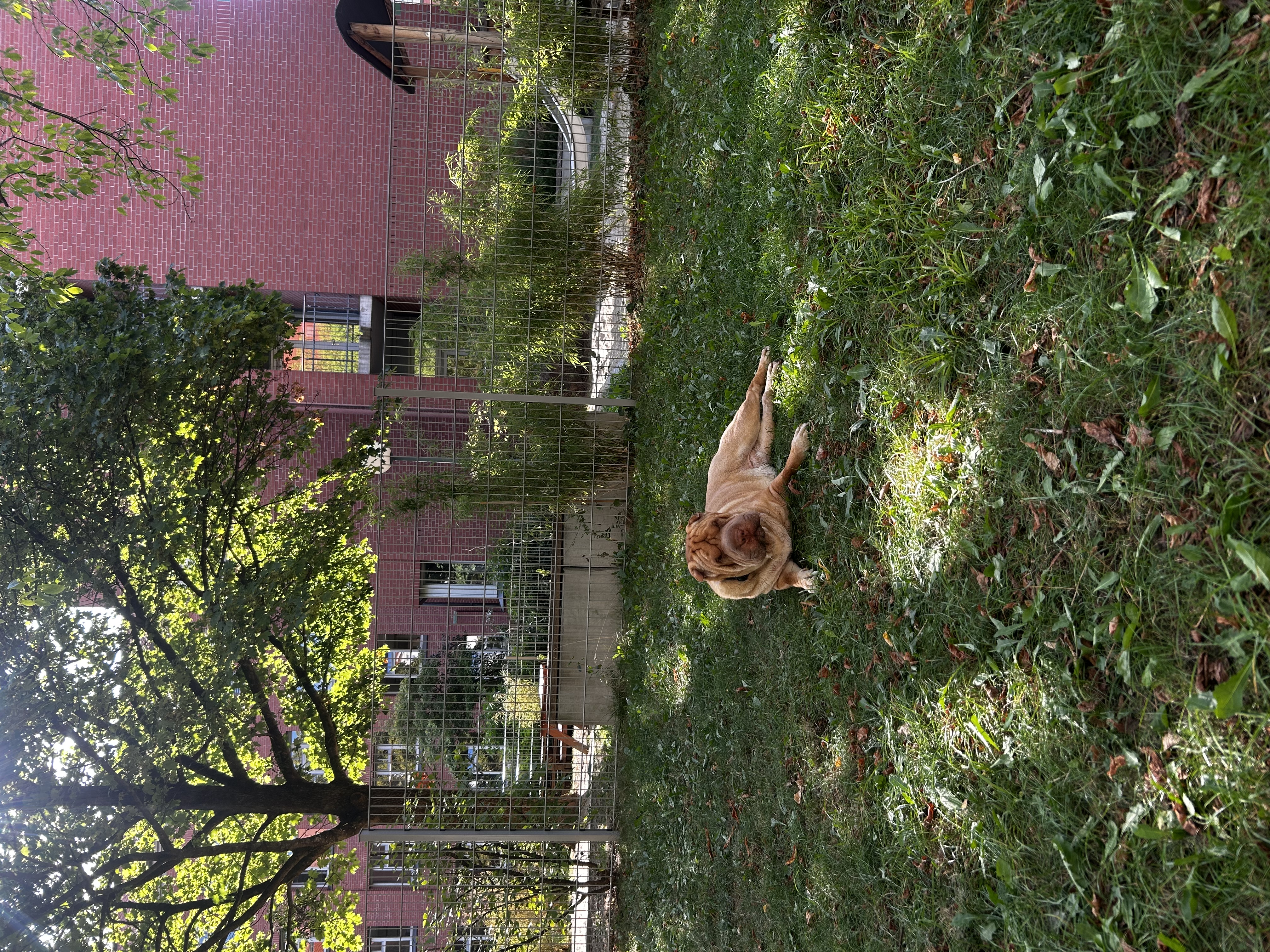 image-13