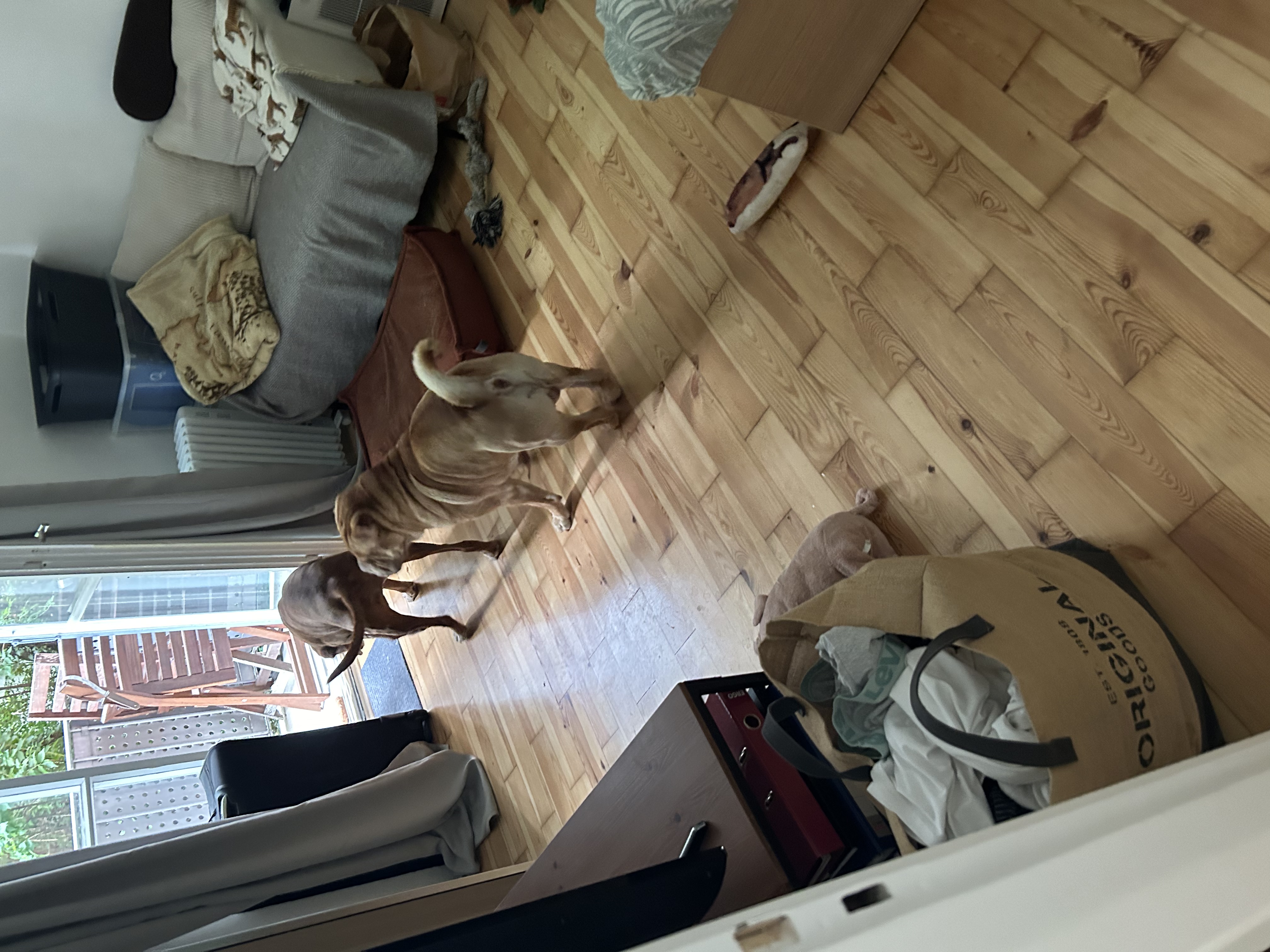image-12