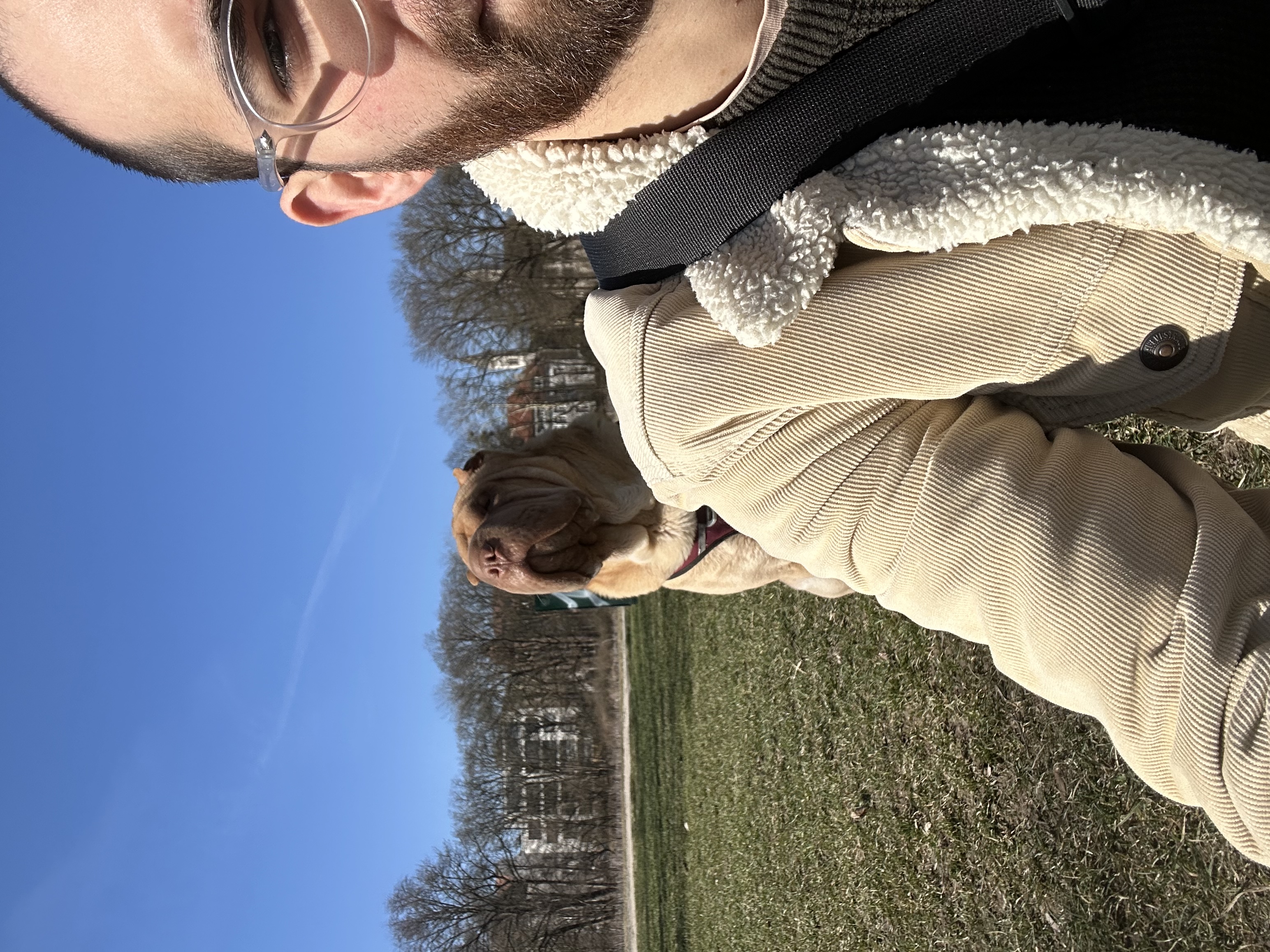 image-4