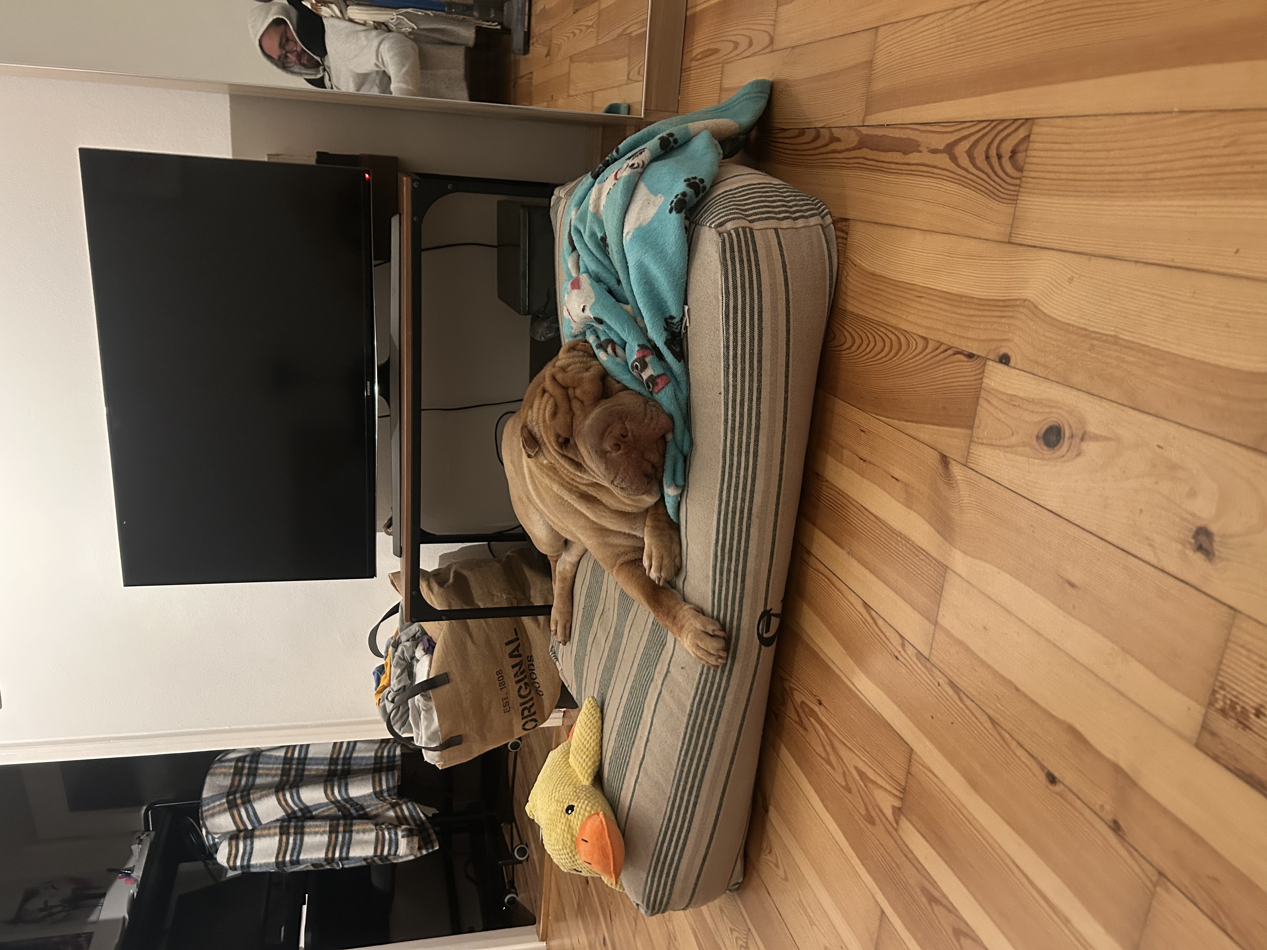 image-9