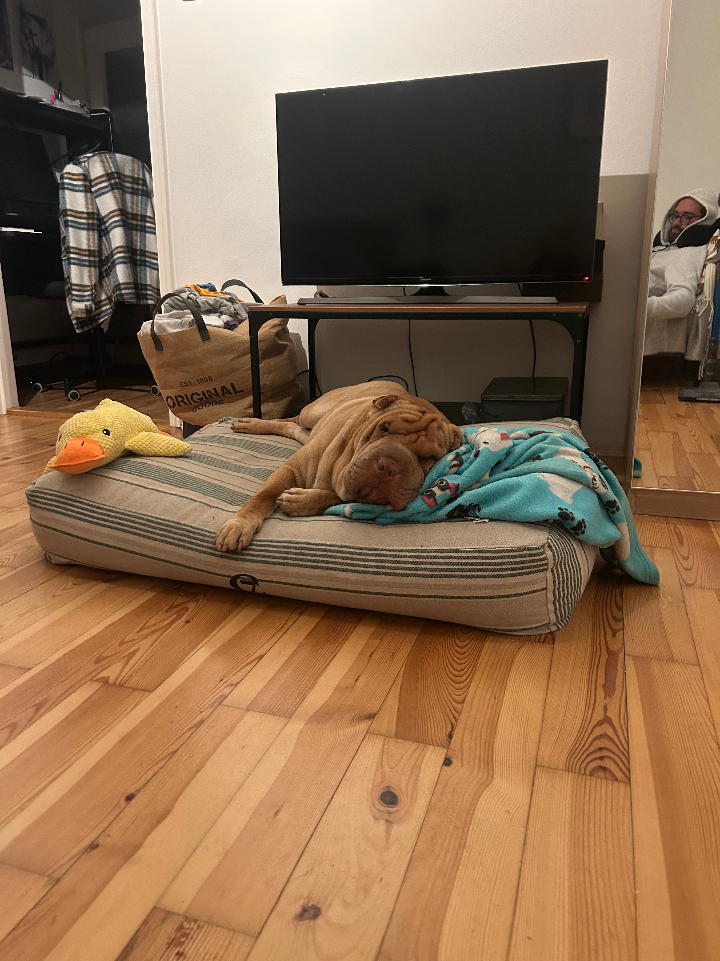image-9