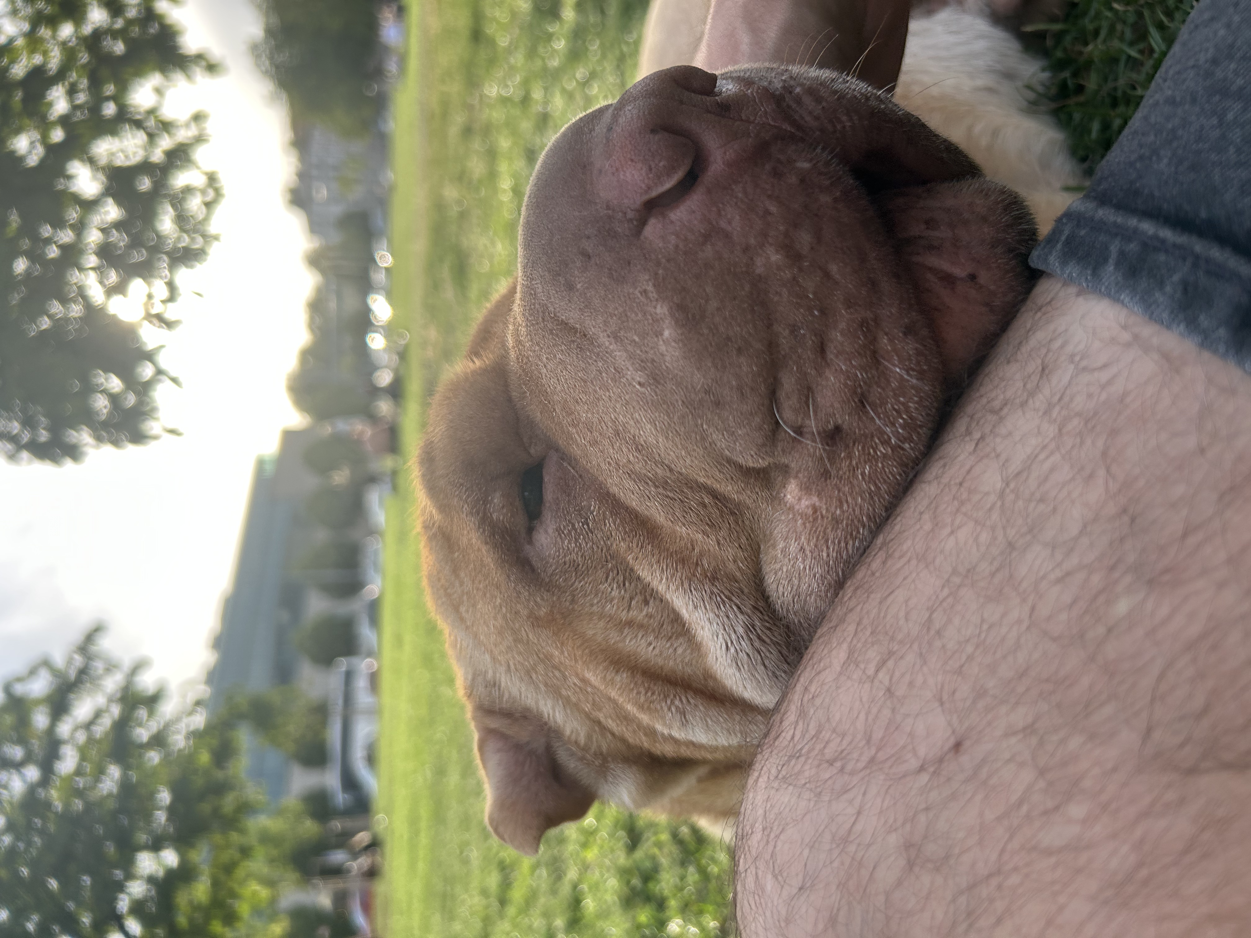 image-7