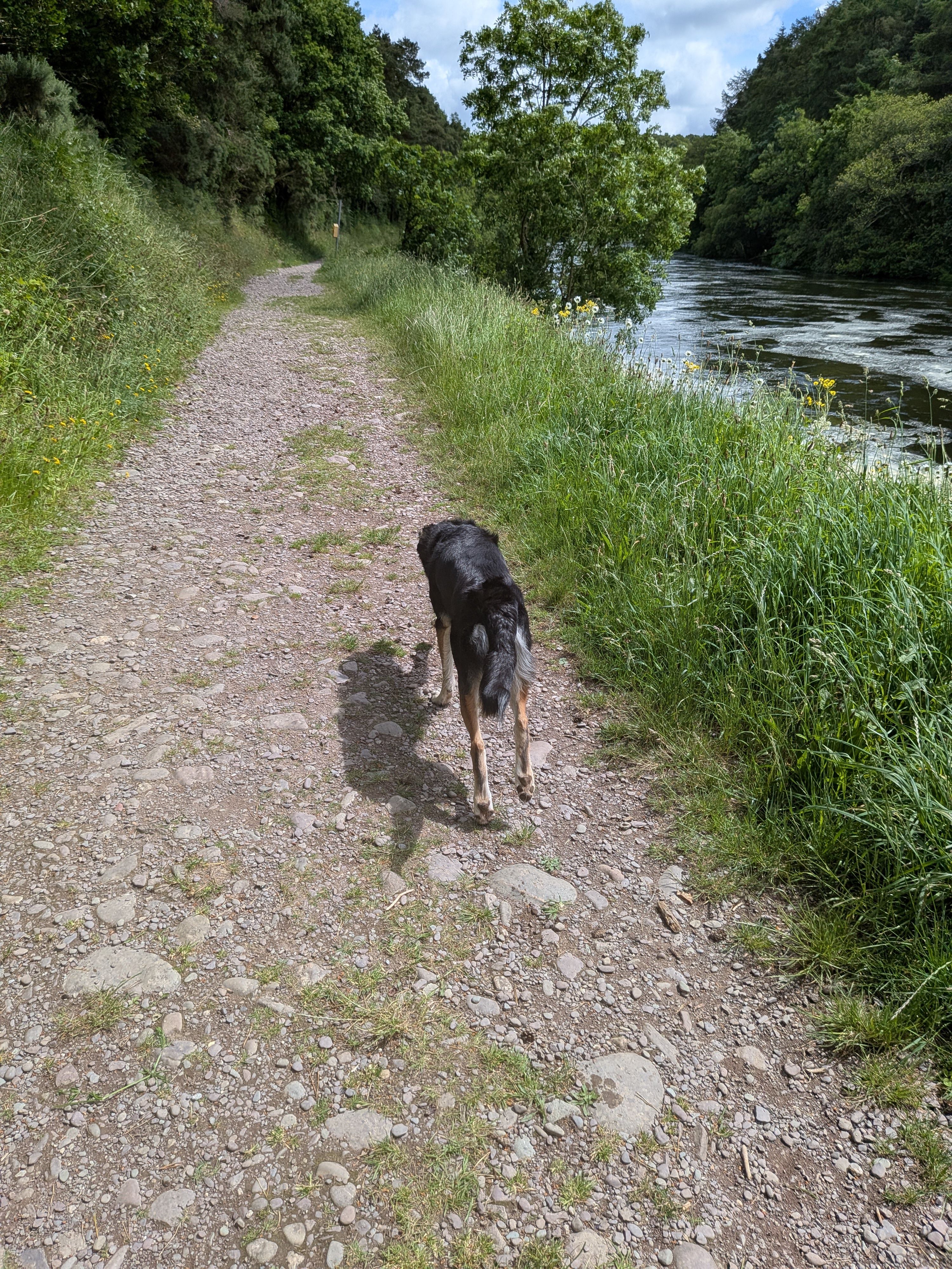 image-20
