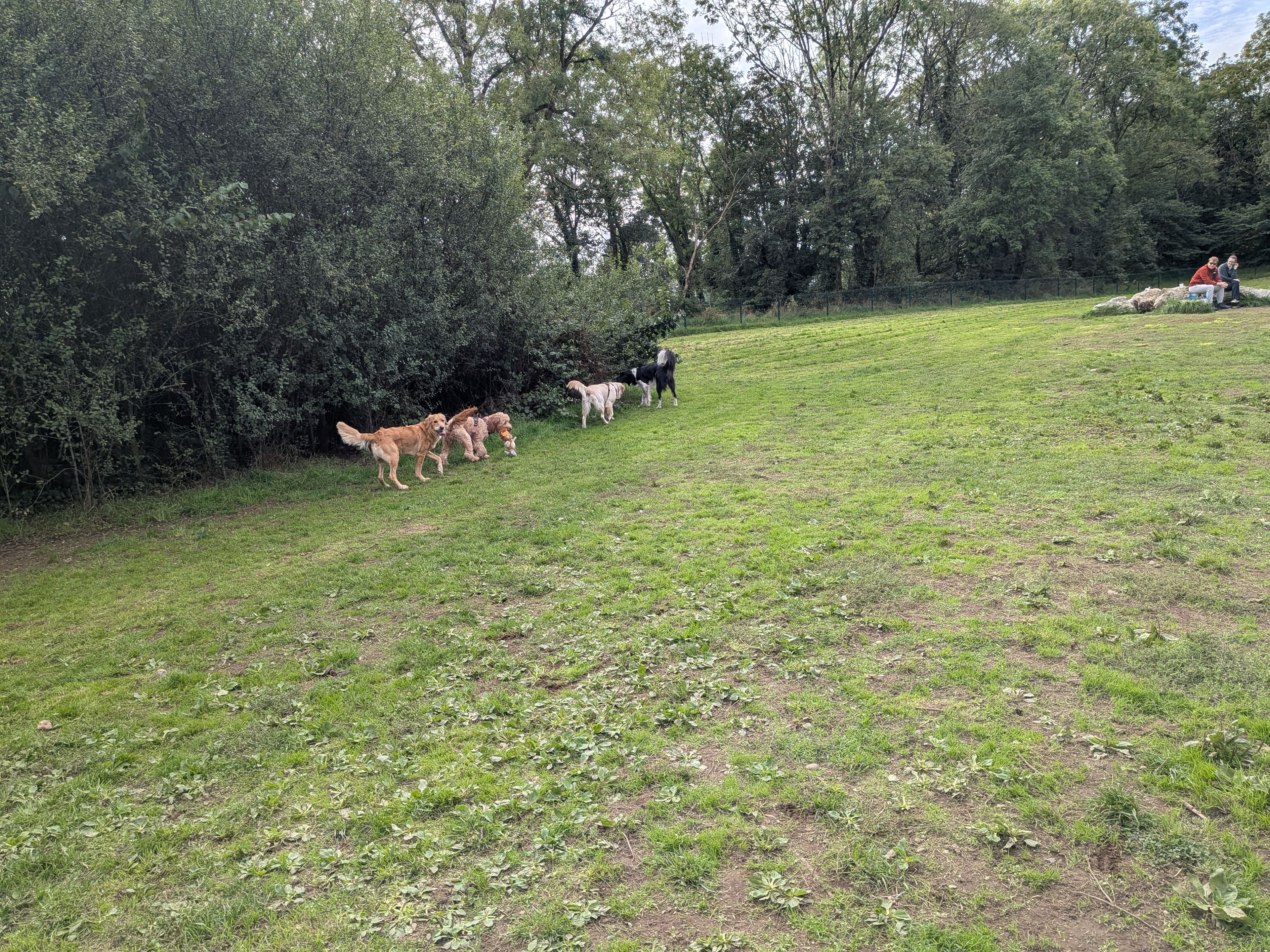 image-32