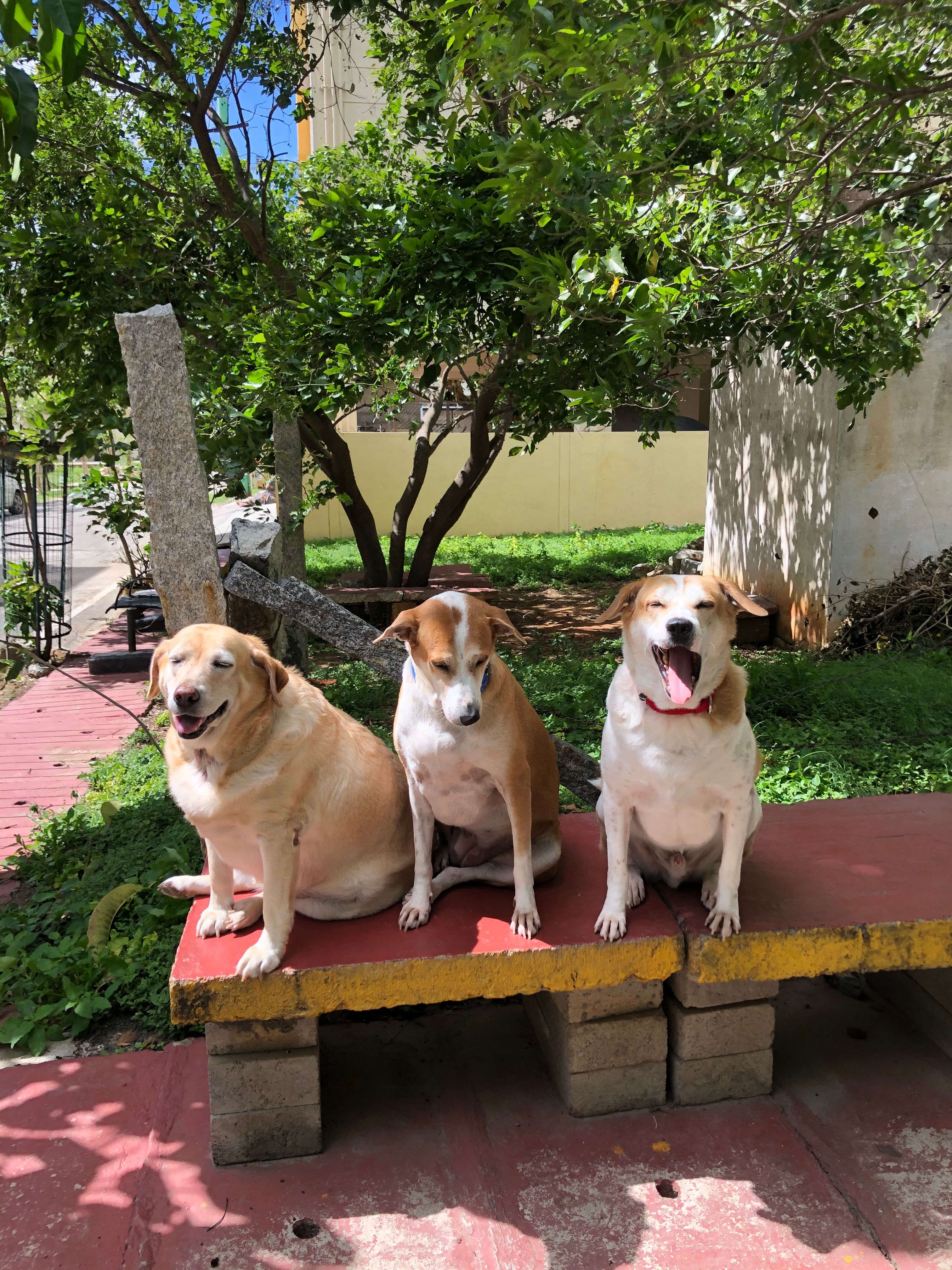 image-6