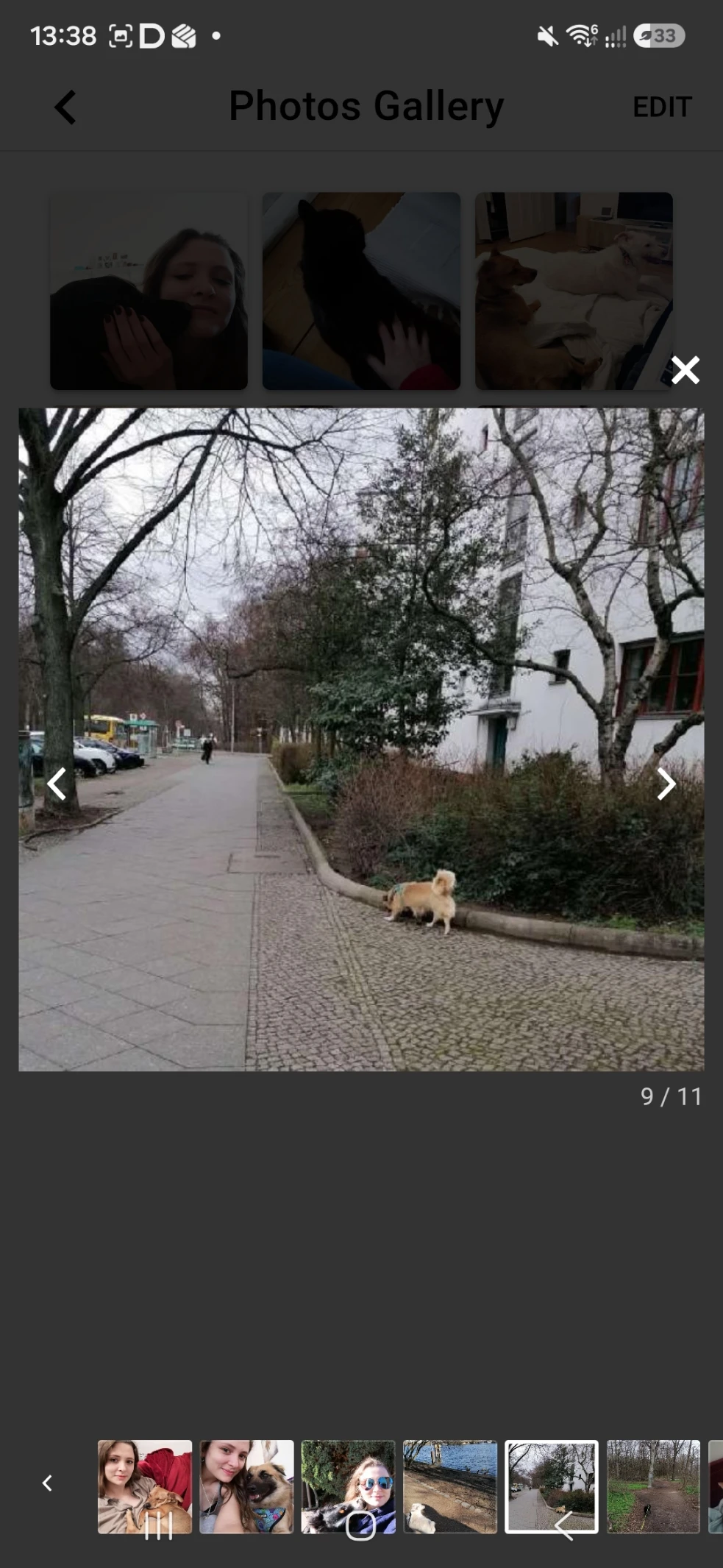 image-31