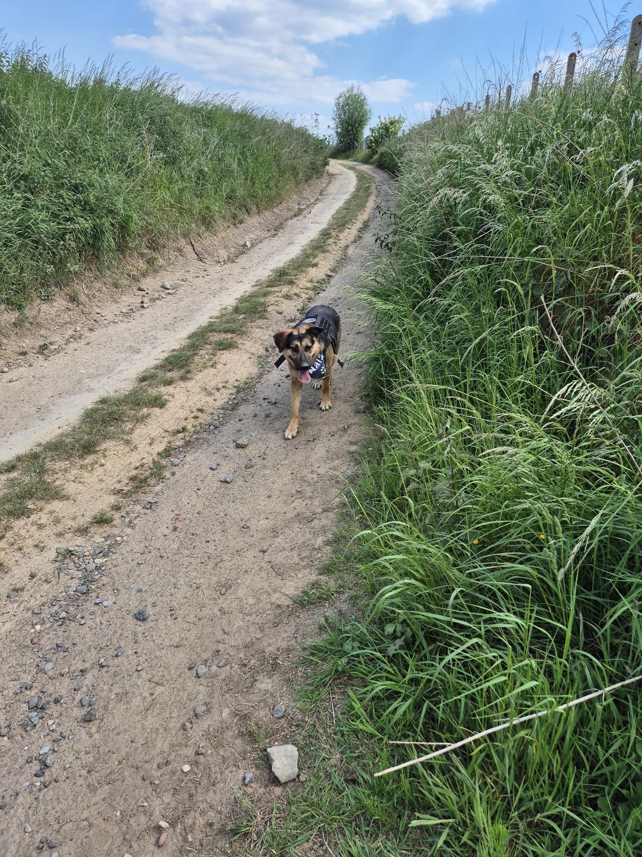 image-21
