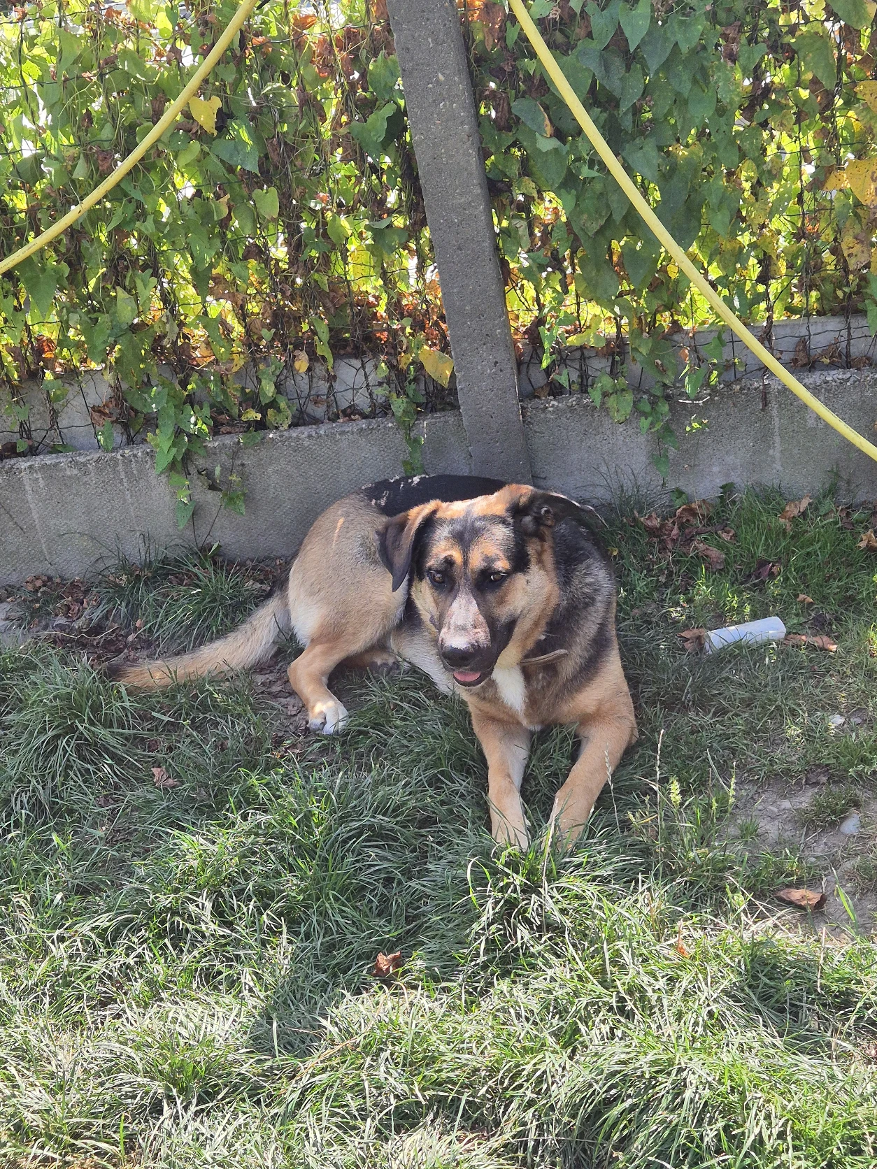 image-15