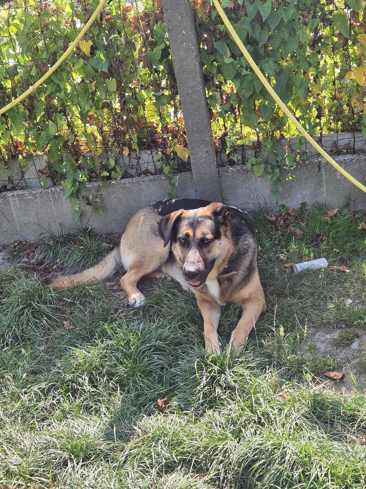 image-15