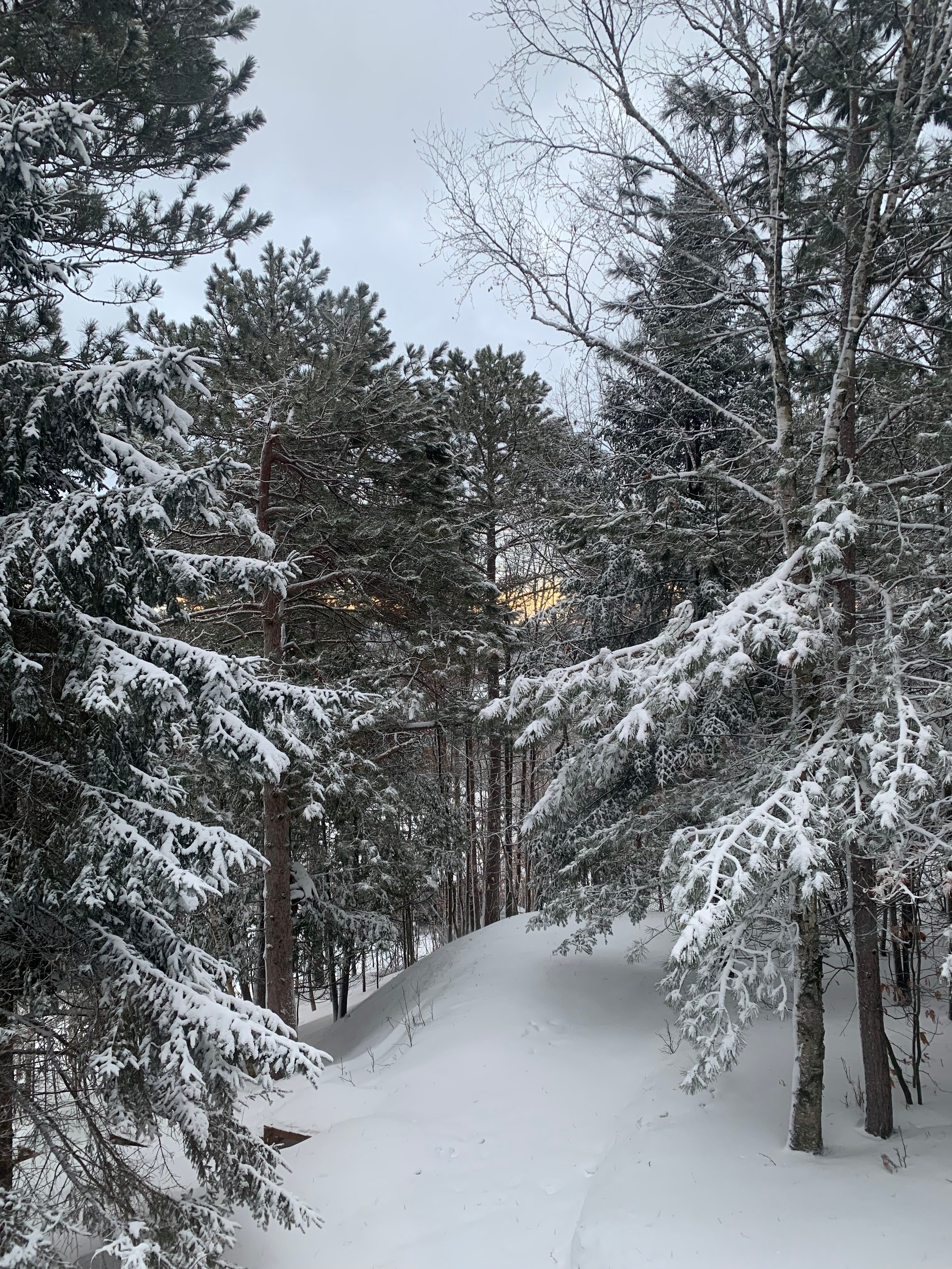 image-9