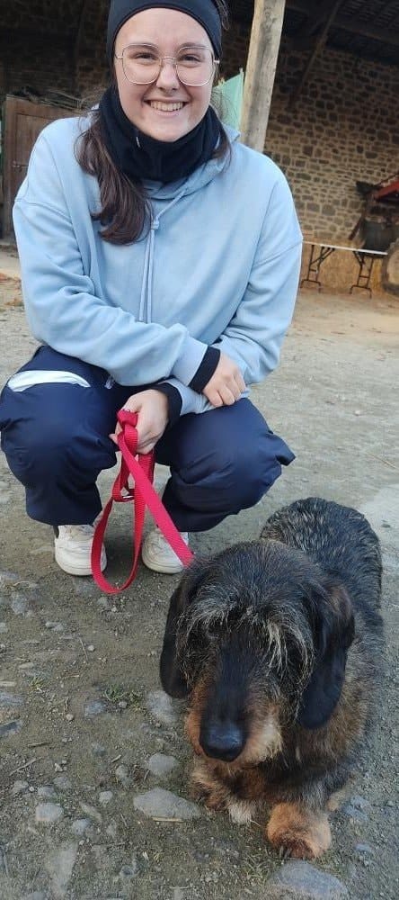 image-17