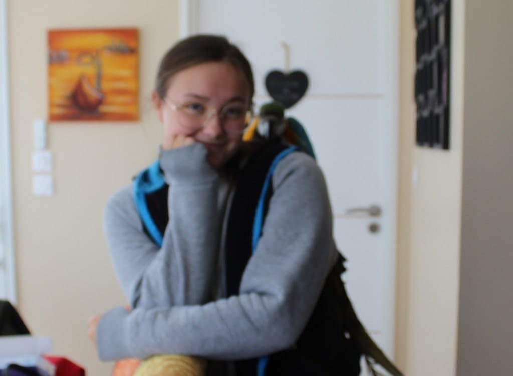 image-11