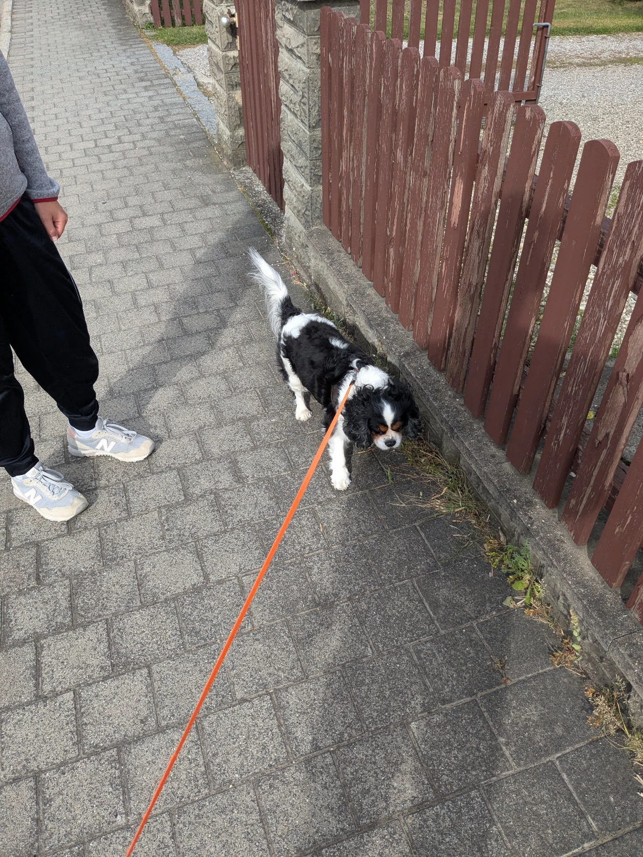 image-16