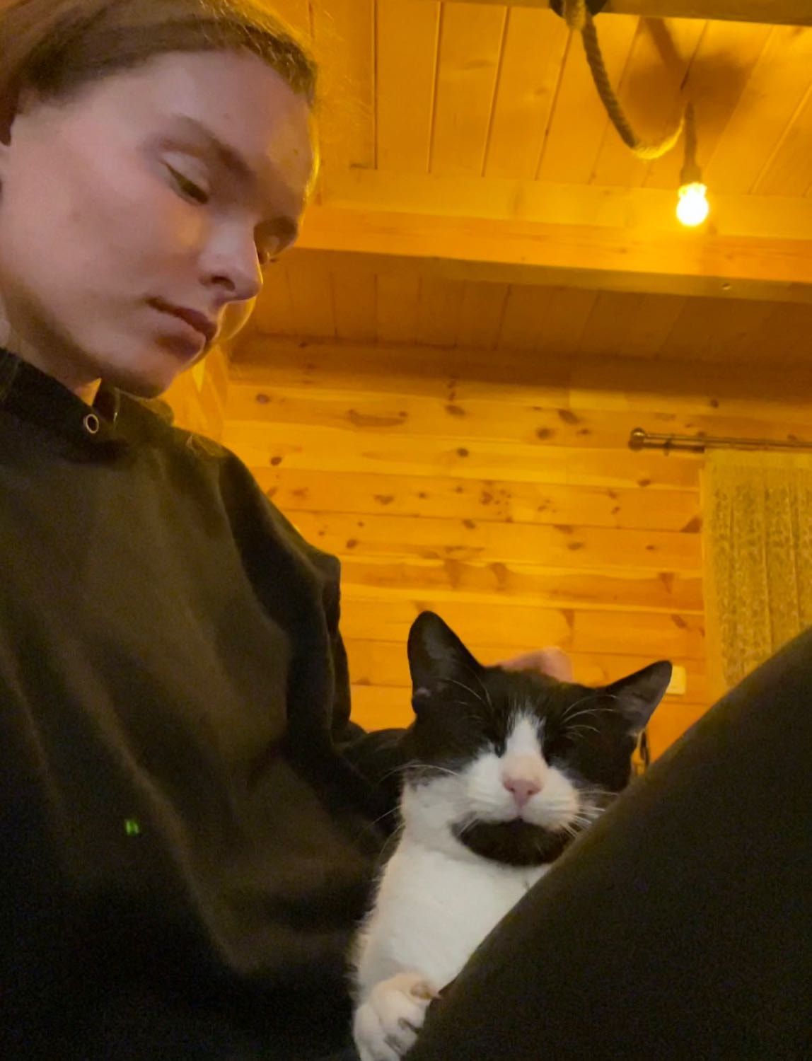 image-4