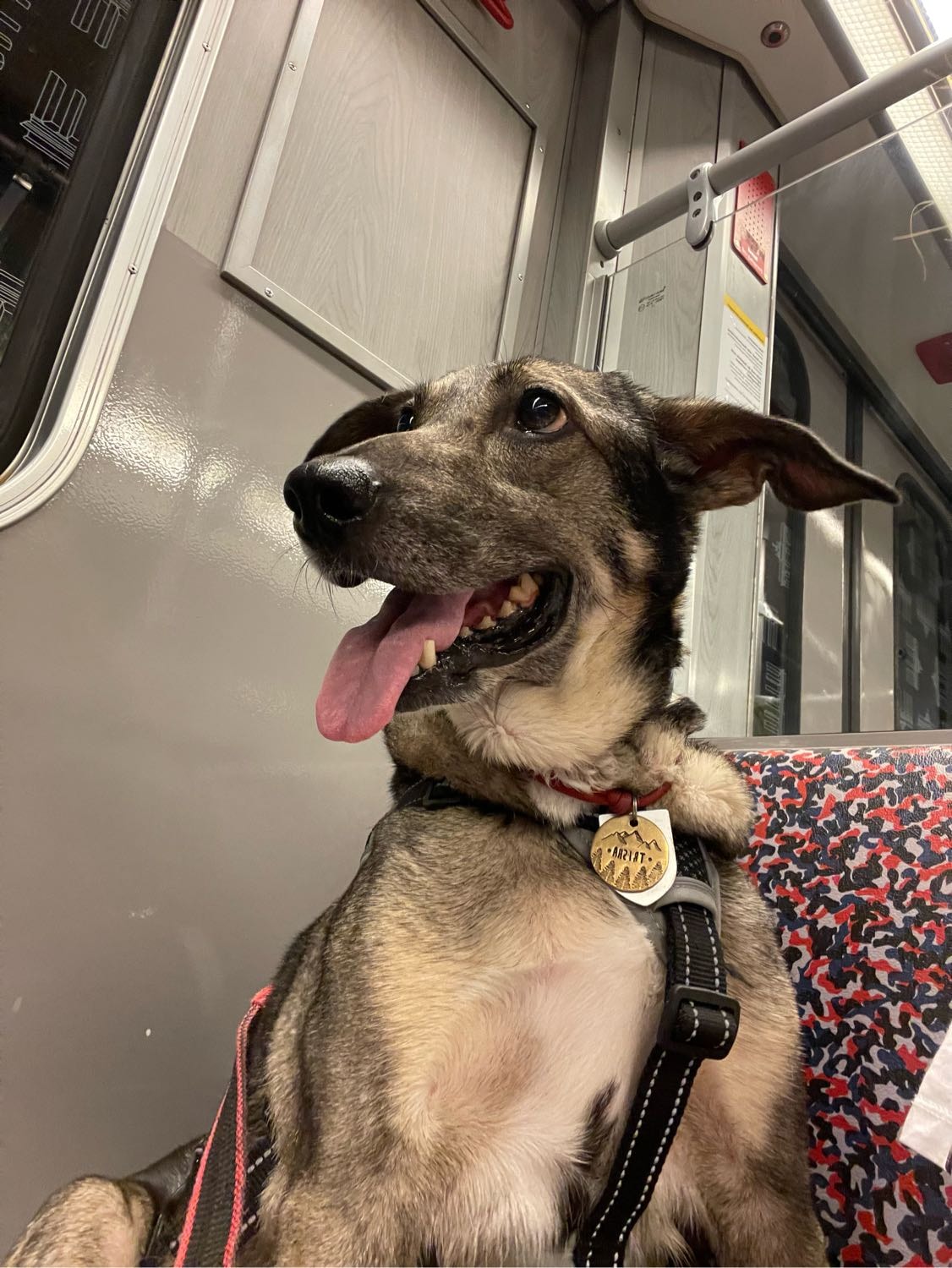 image-18