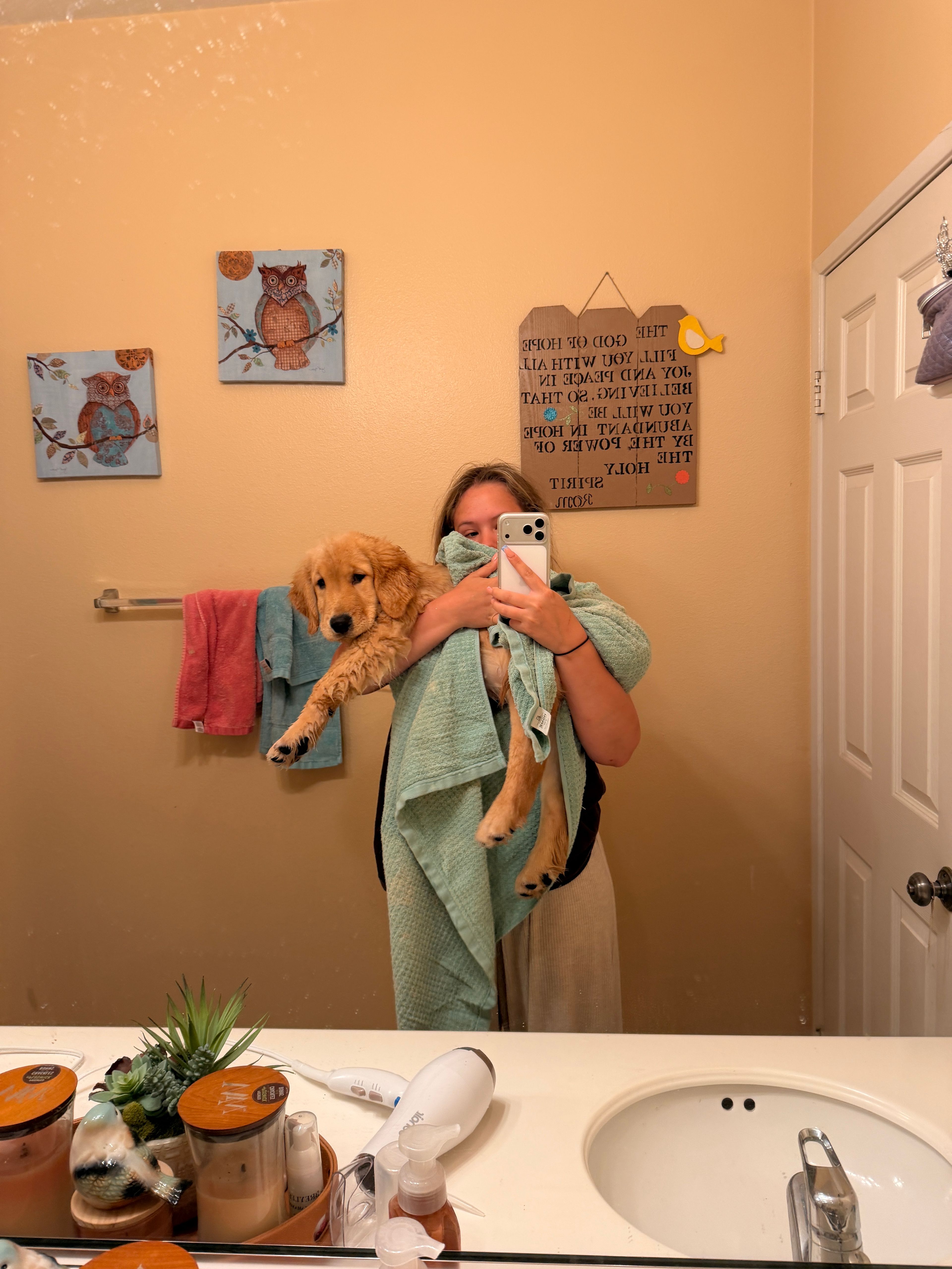 image-5