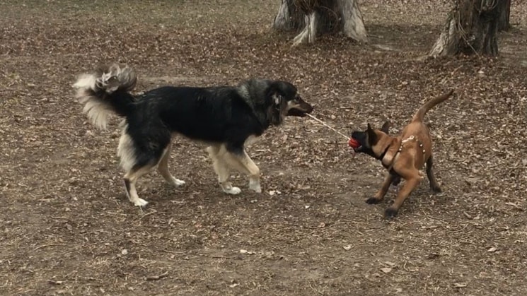 image-9