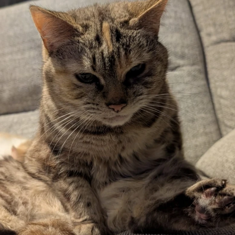 Tina