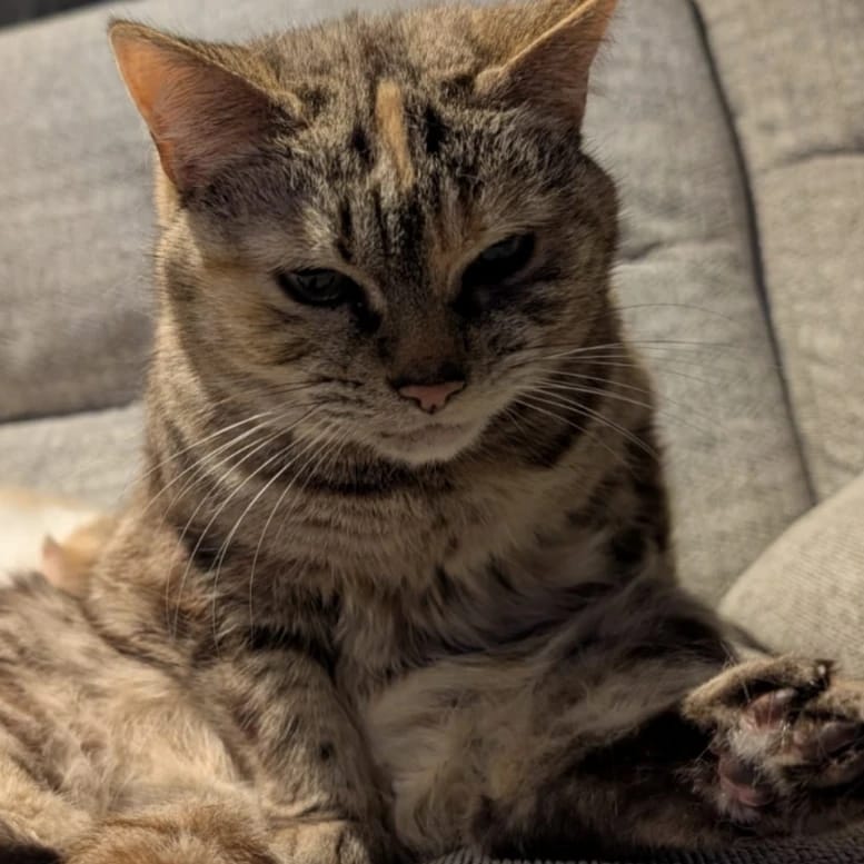 Tina
