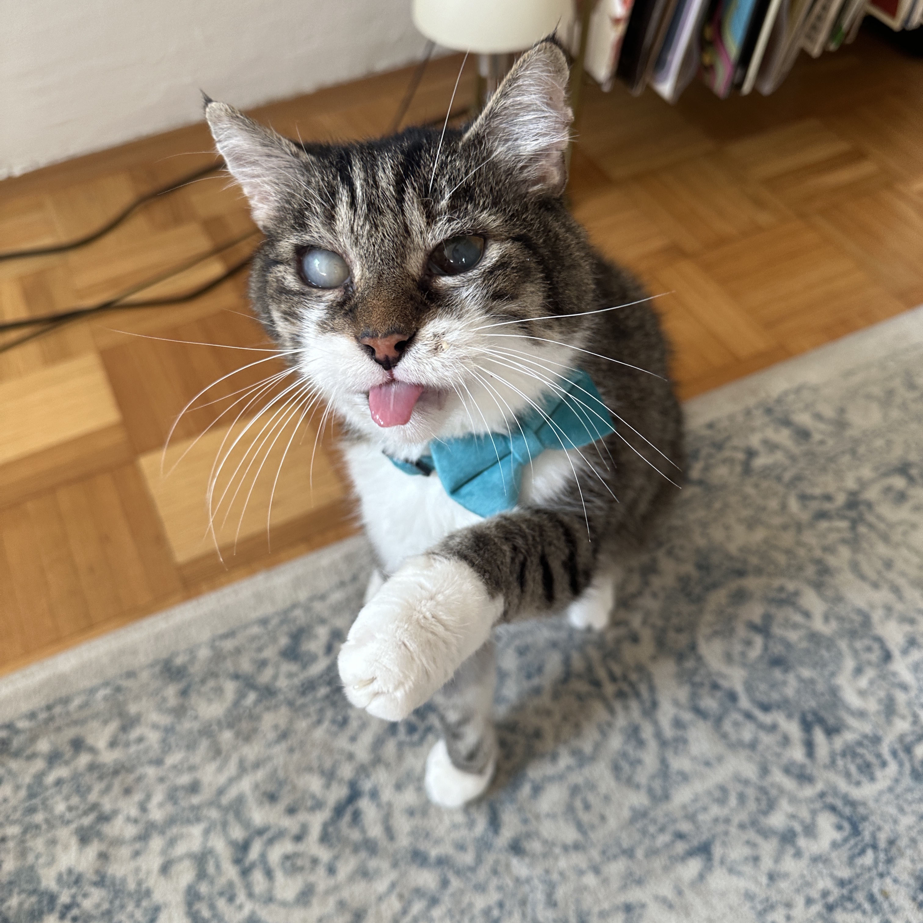 Merlin