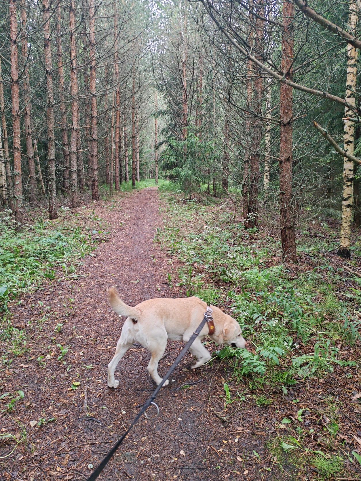 image-16