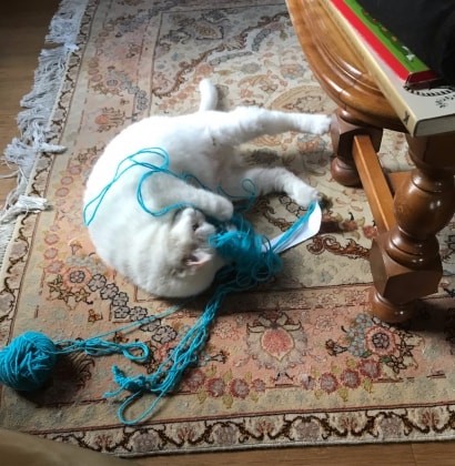 image-4