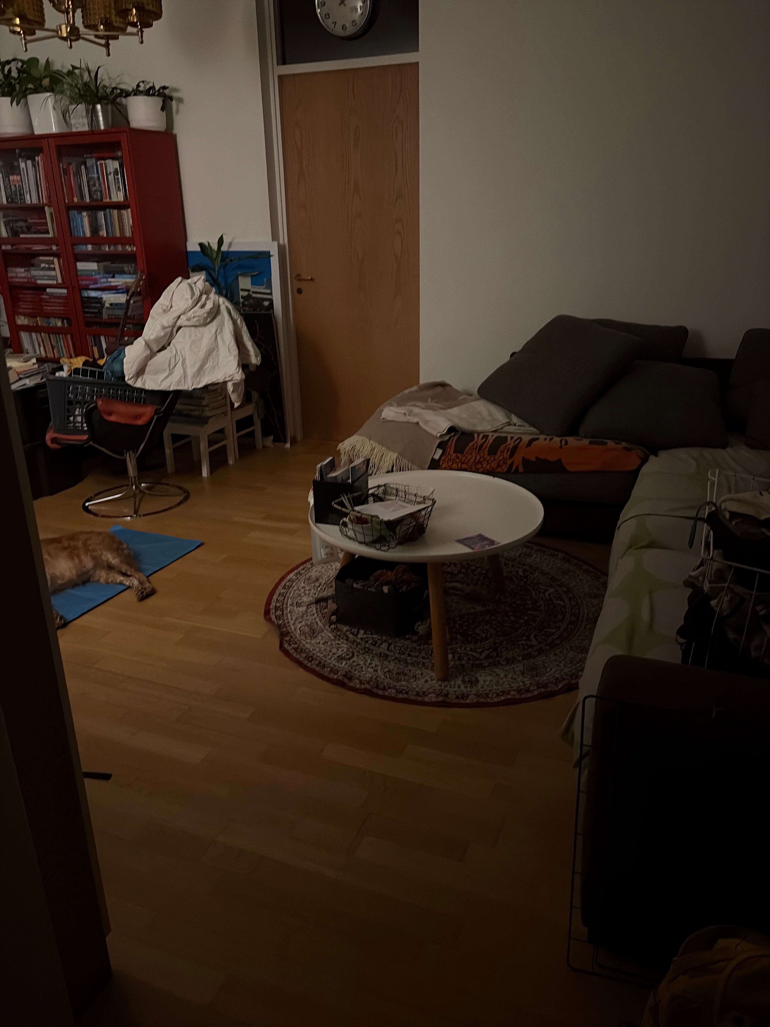 image-13