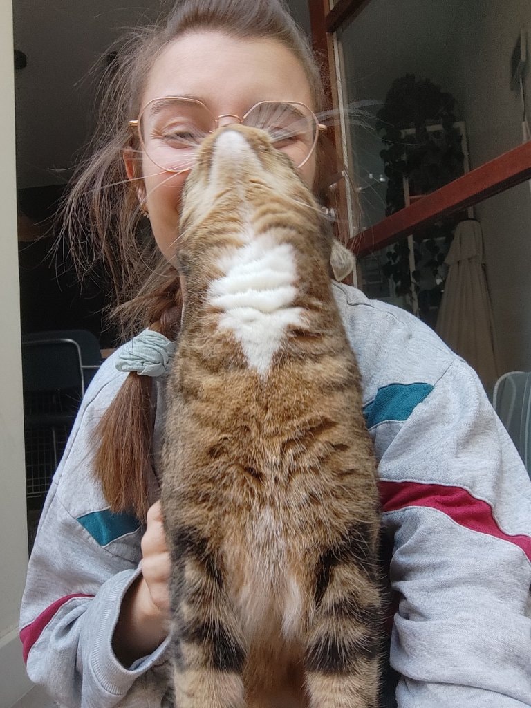 image-7