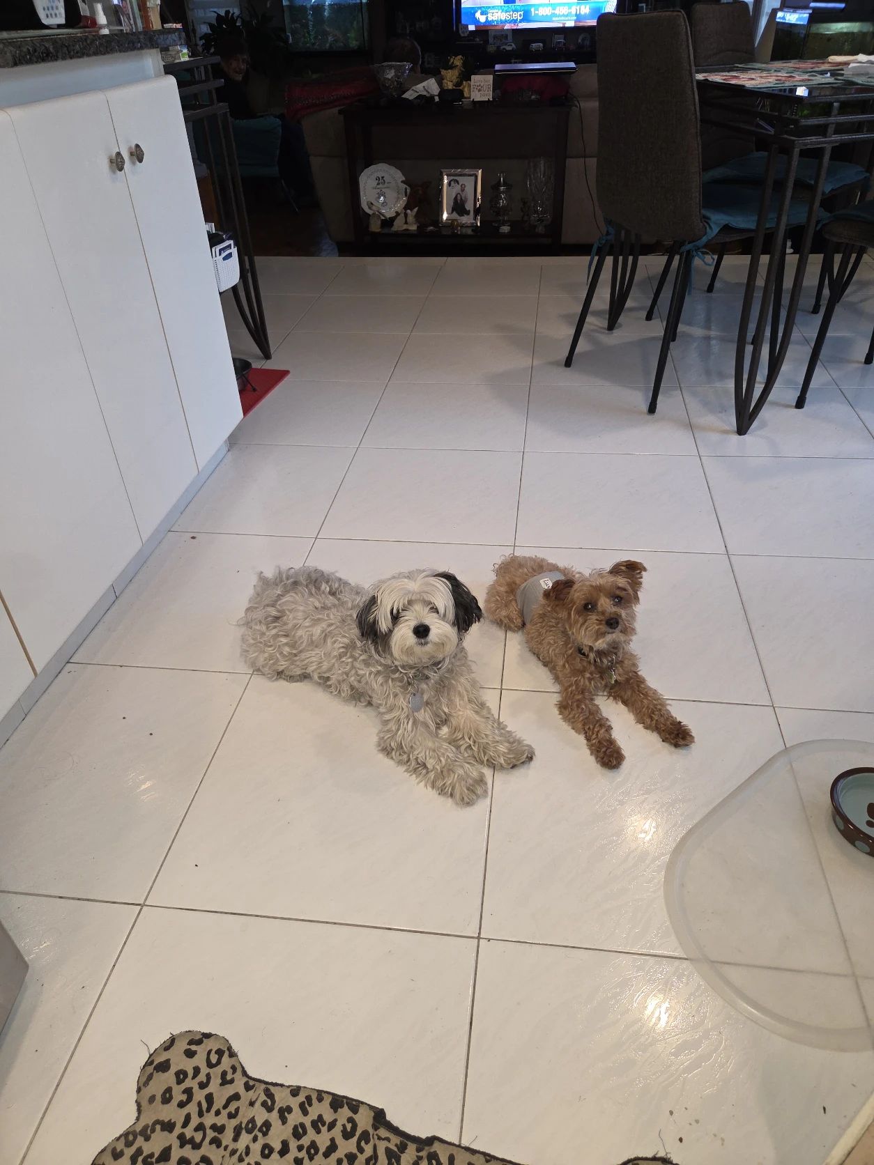 image-14
