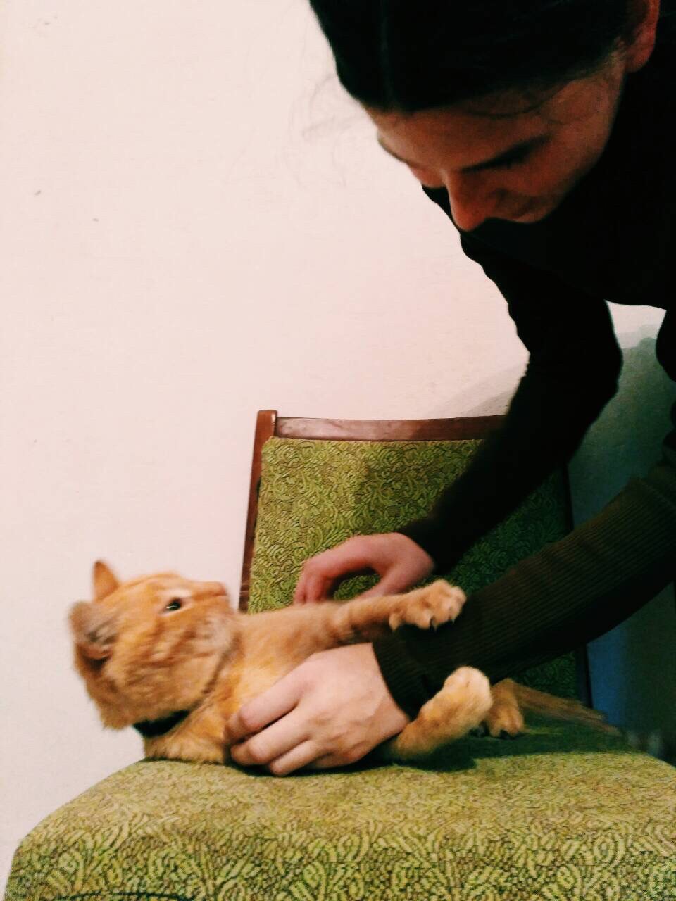 image-16