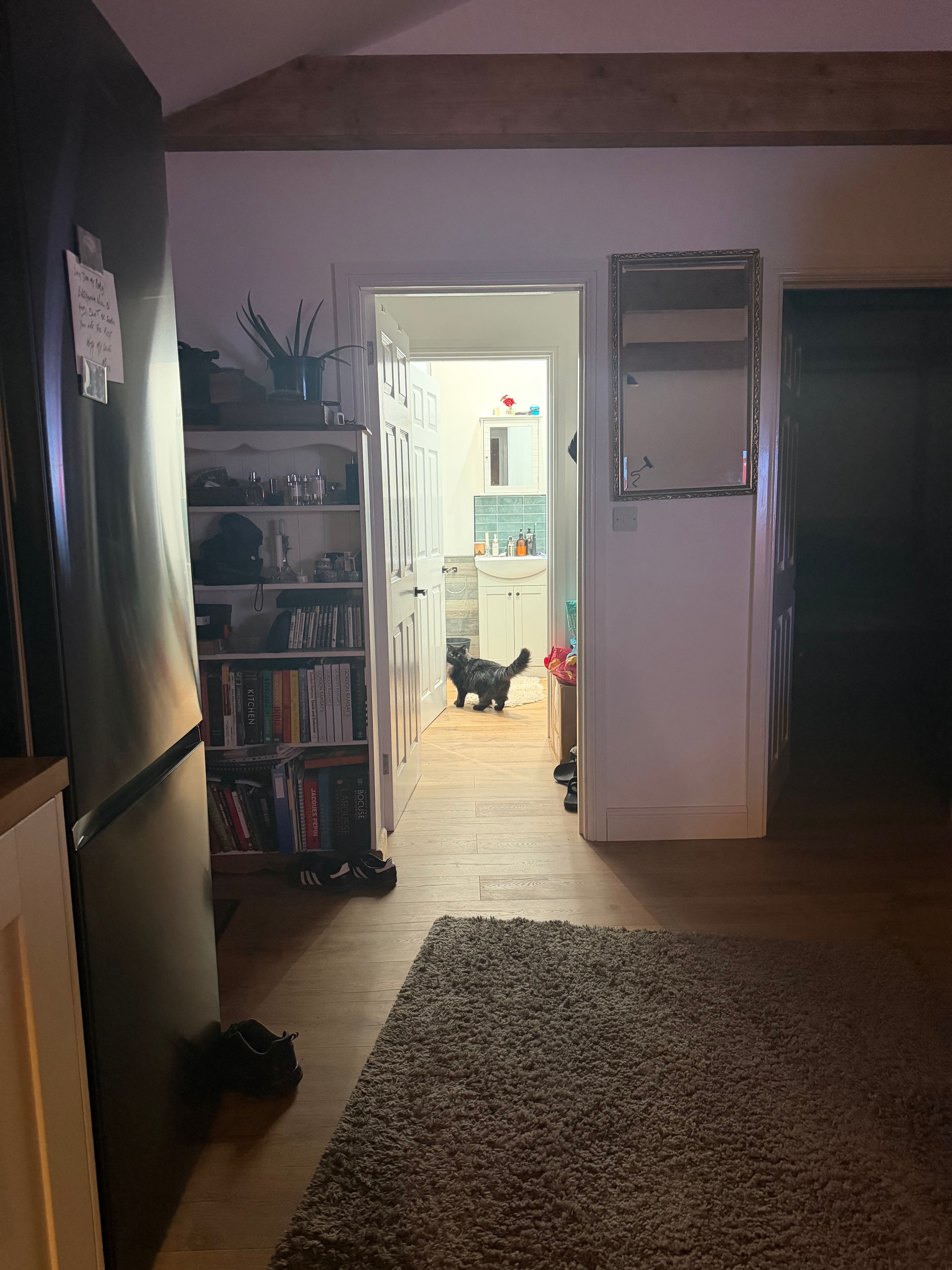 image-21